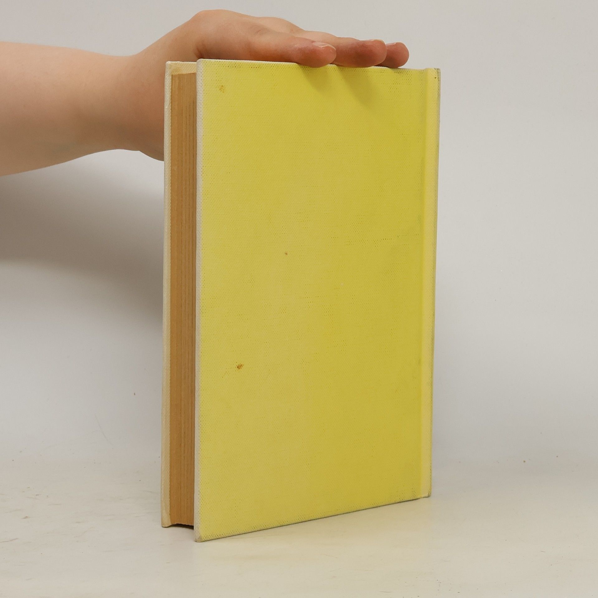 Auteurscollectief Lechner's Fremdwörterbuch