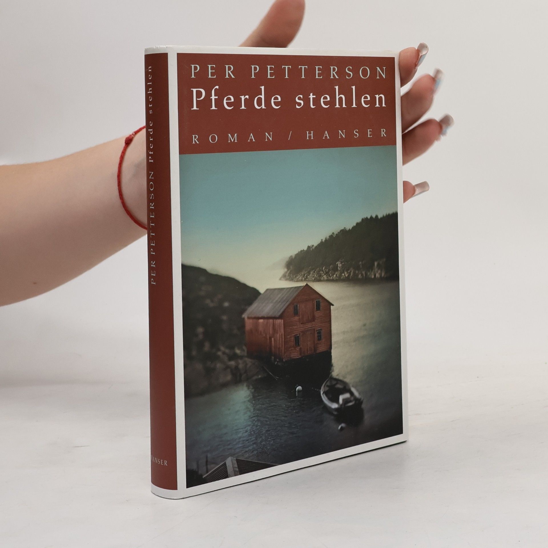 Per Petterson Pferde stehlen