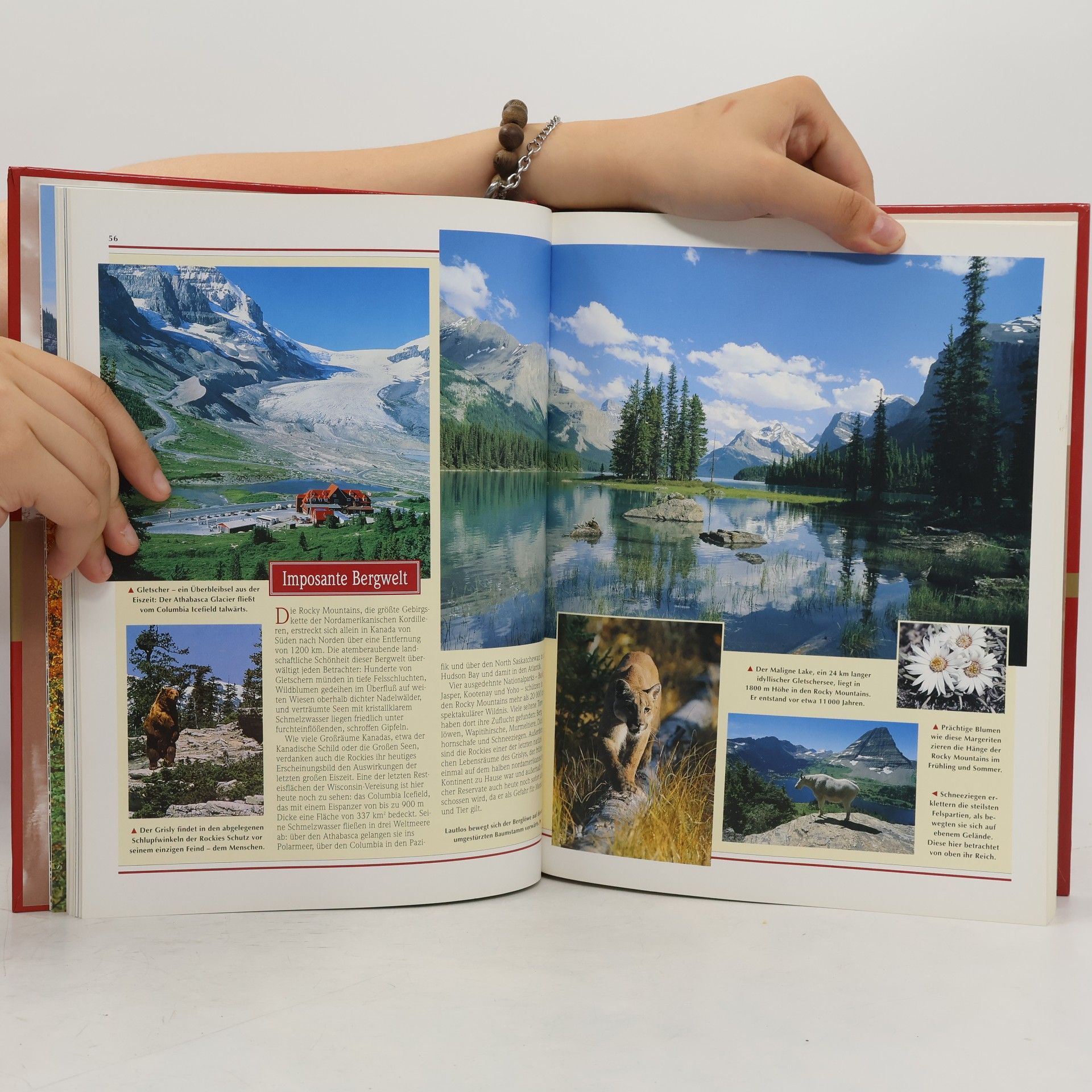 Autores varios Wildes Paradies Kanada