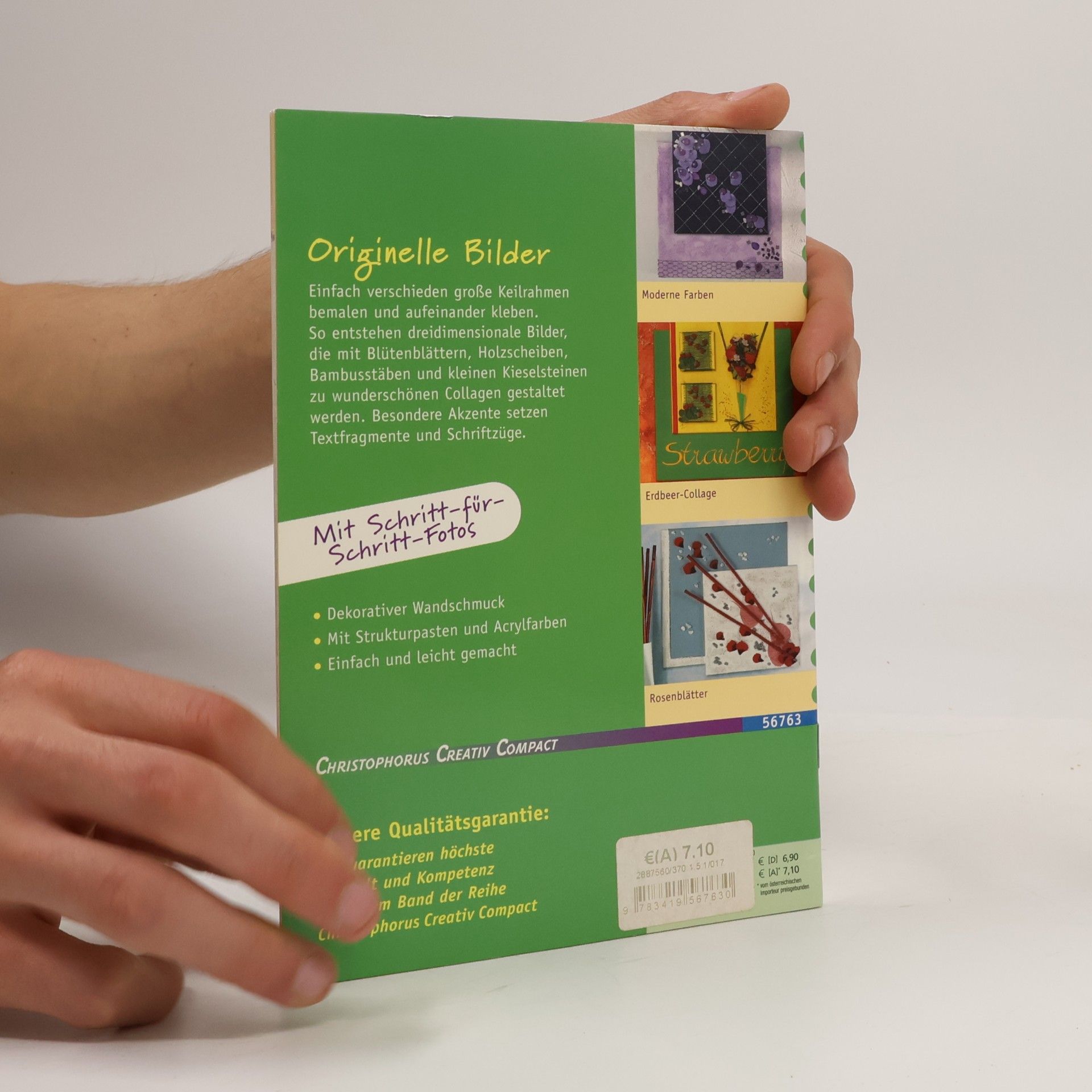 Nicole Menz Creativ Compact: Dekorative Keilrahmen-Collagen