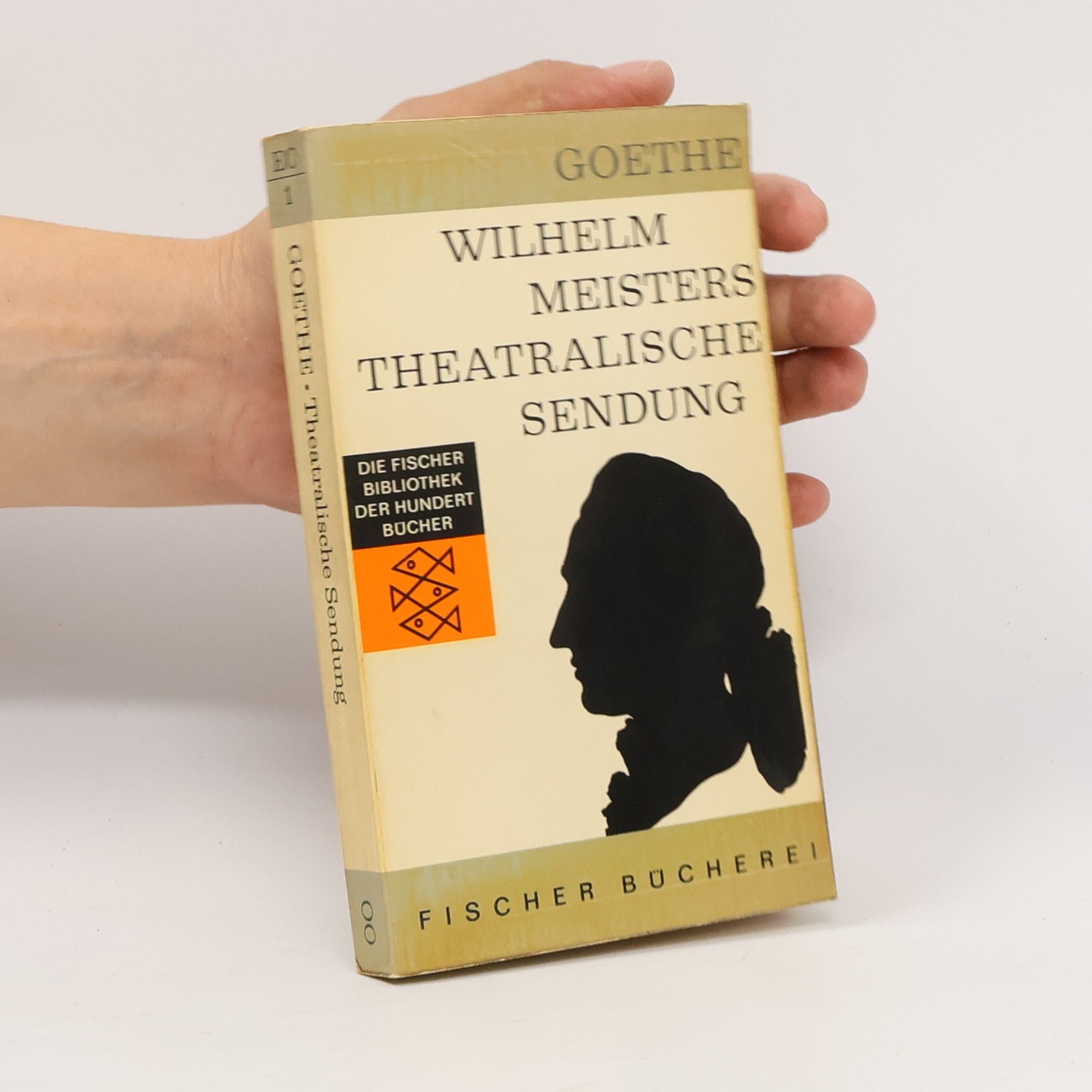 Johann Wolfgang von Goethe Wilhelm Meisters Theatralische Sendung