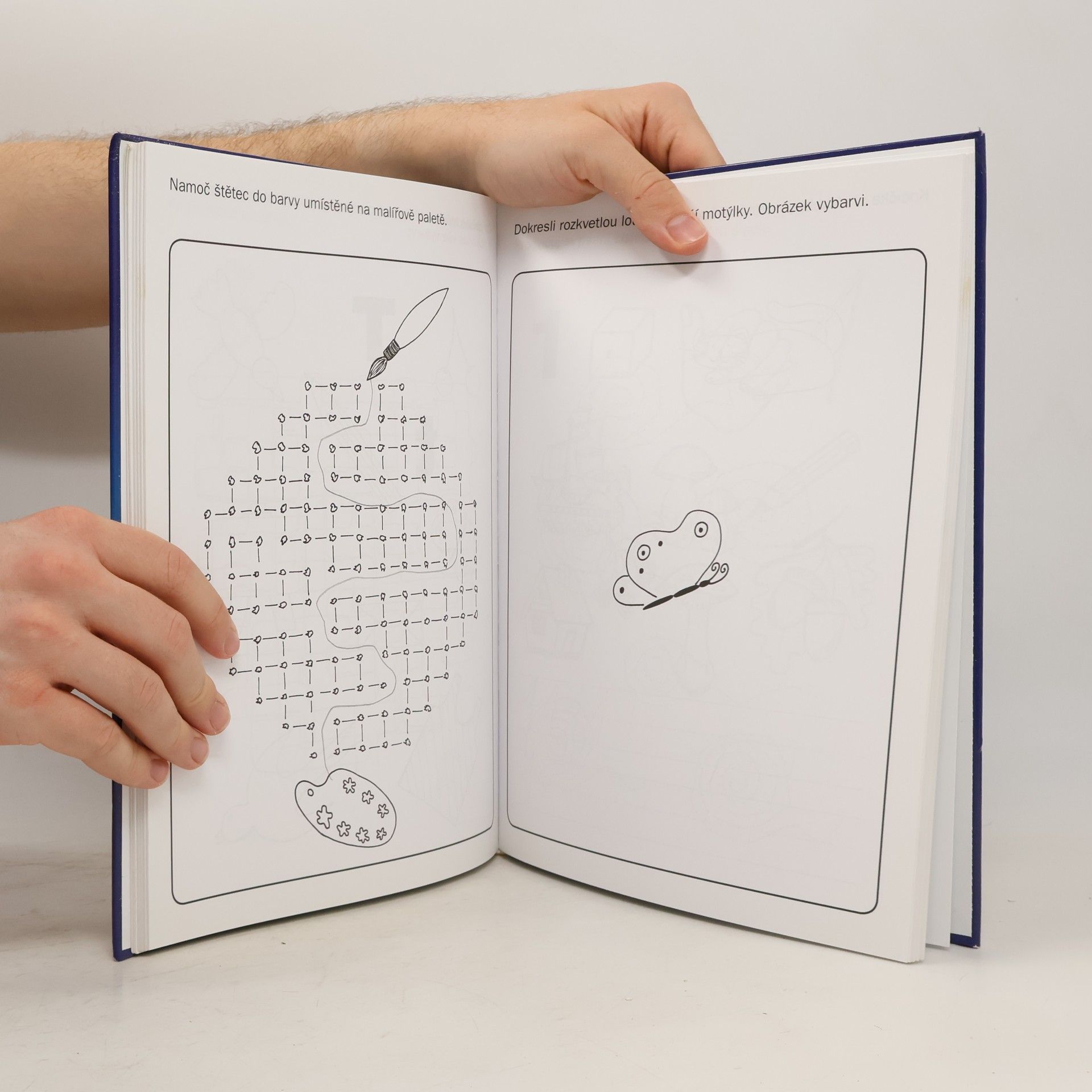 Autorenkollektiv Velká kniha her a úkolů pro kluky a holky