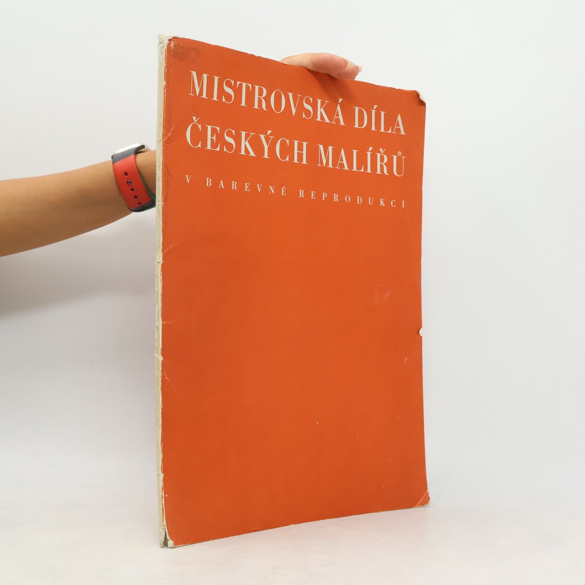 AA.VV. Mistrovská díla českých malířů v barevné reprodukci