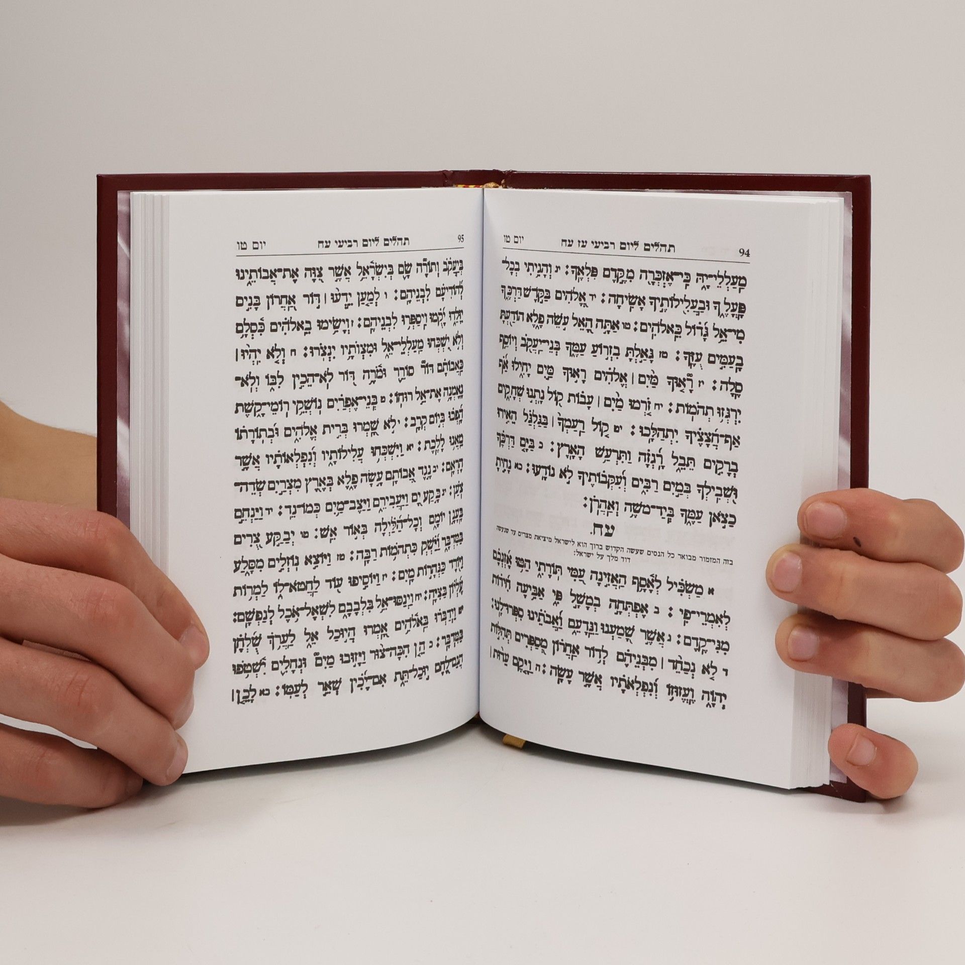 Kolektiv autorů תהלים. אחל יוסף יצחק