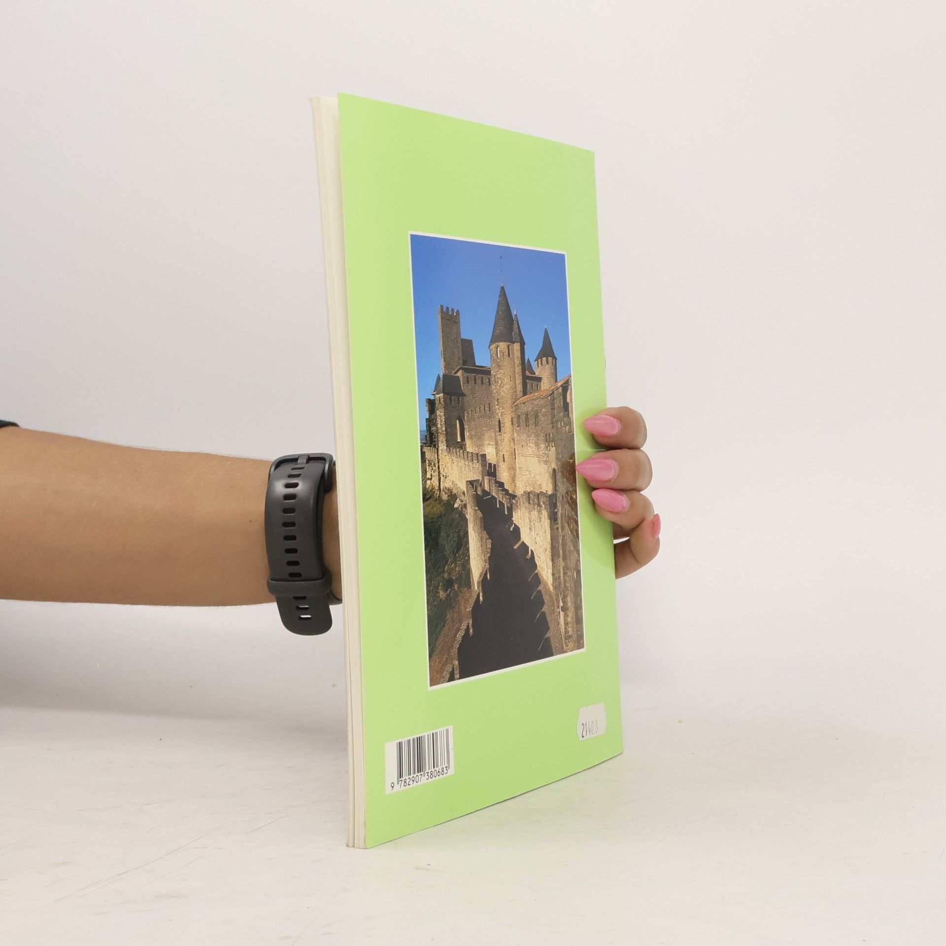 Autorenkollektiv Carcassonne