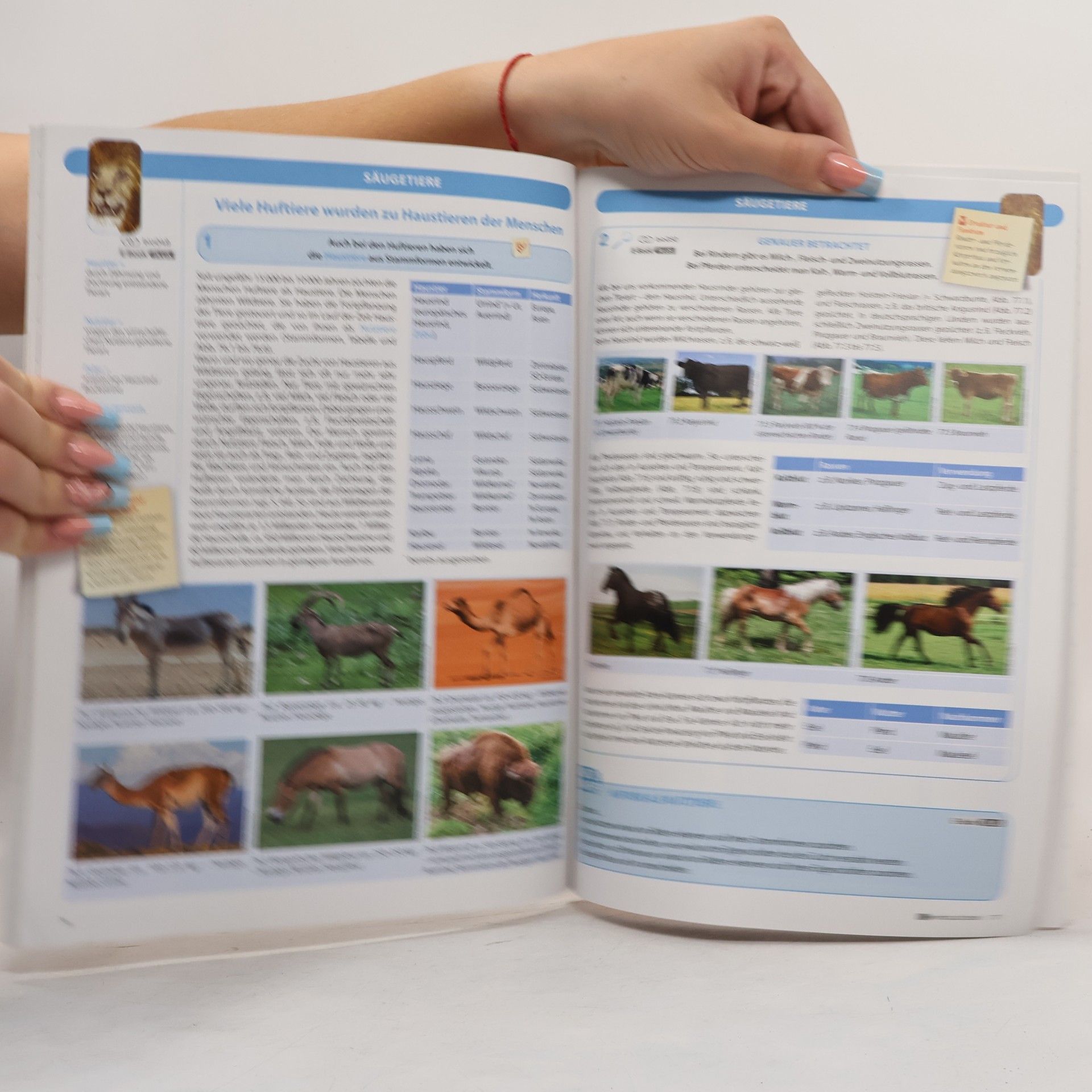 Autores varios Bio School 1