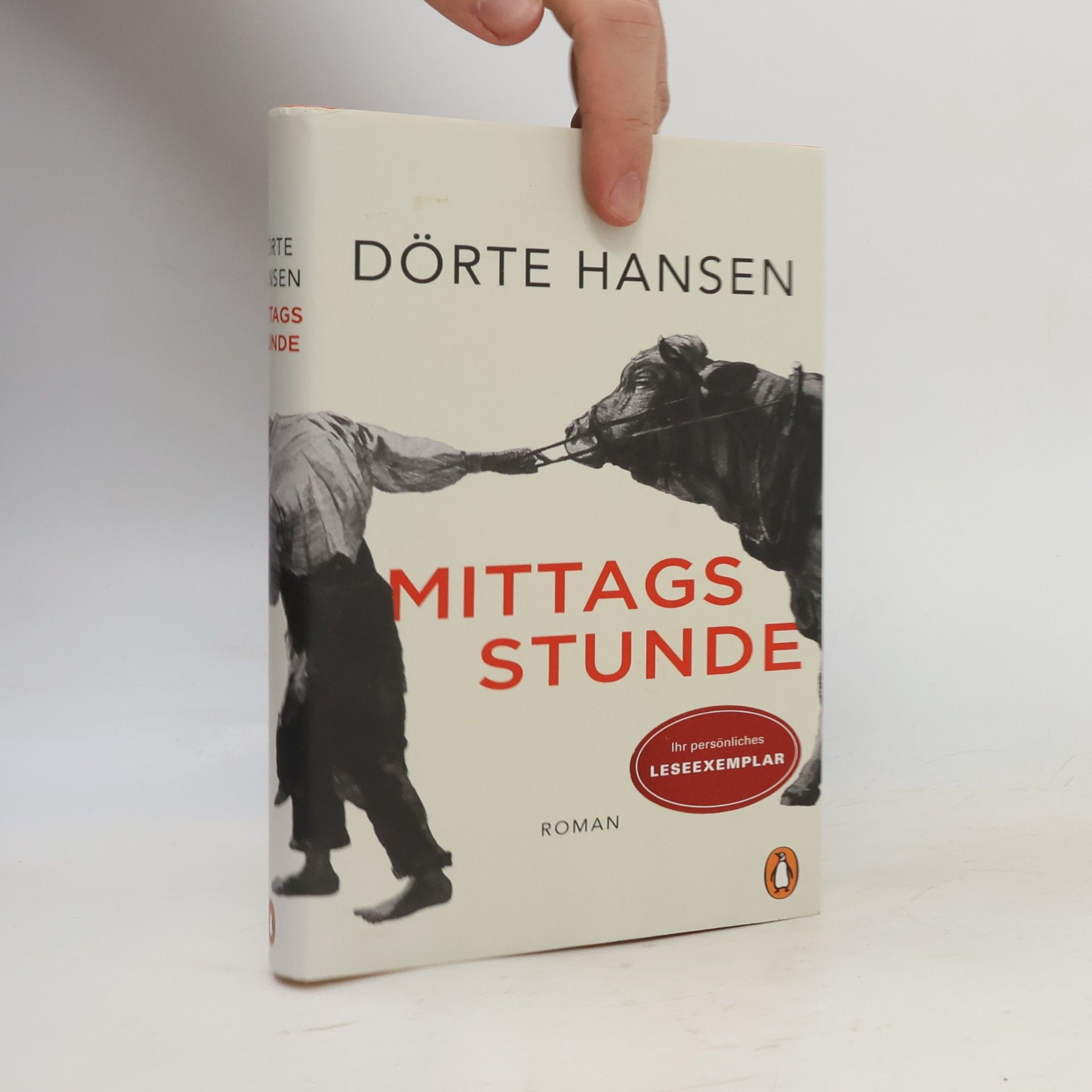 Dörte Hansen Mittagsstunde
