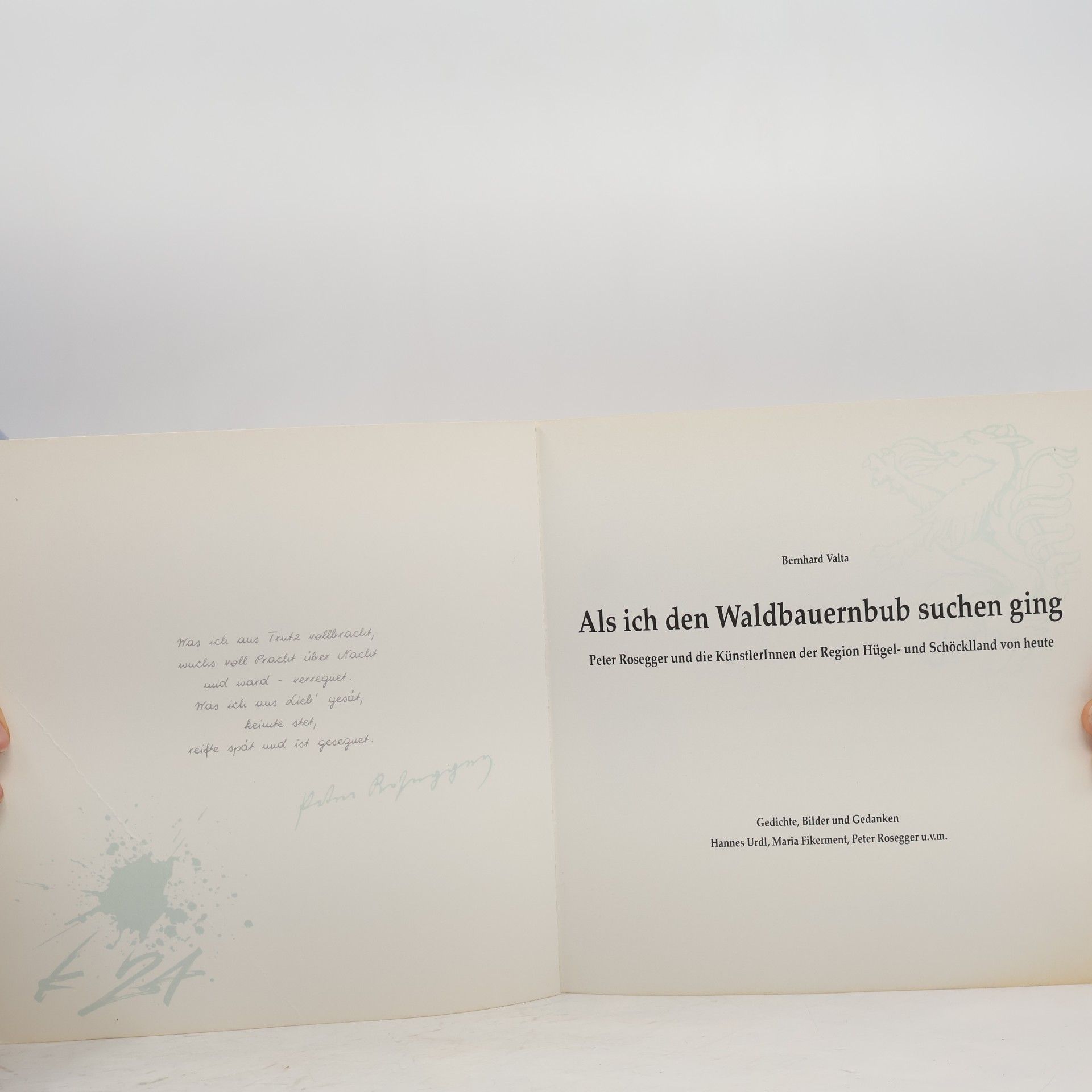 Bernhard Valta Als ich den Waldbauernbub suchen ging