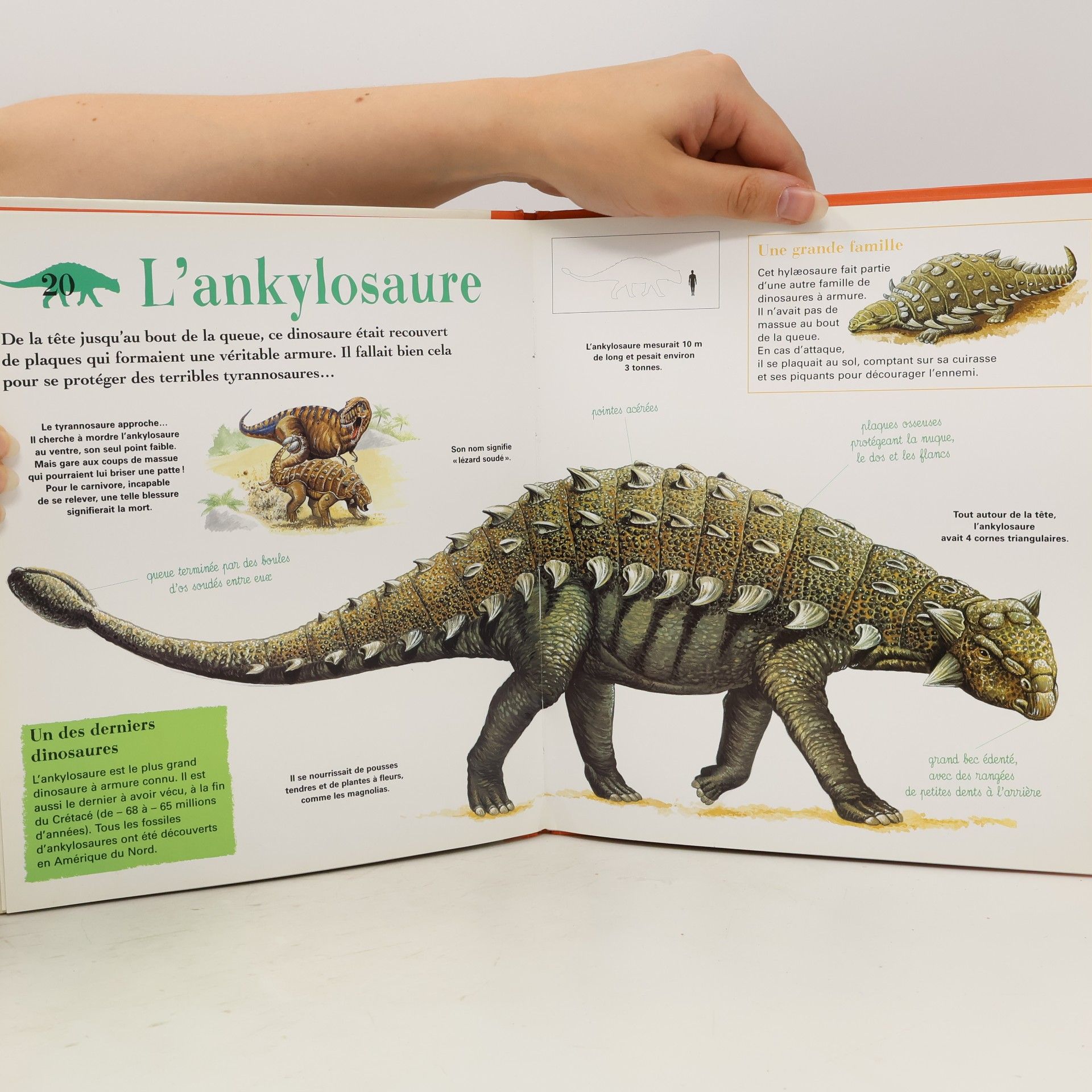 Stéphanie Ledu-Frattini Les dinosaures