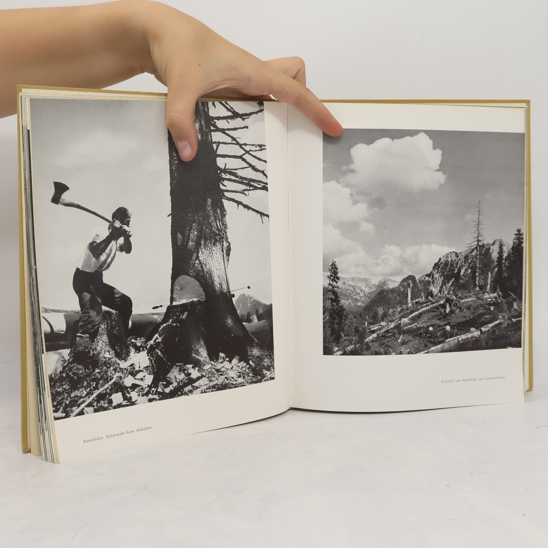 Albert Rastl Ausseer-Land mit Dachstein