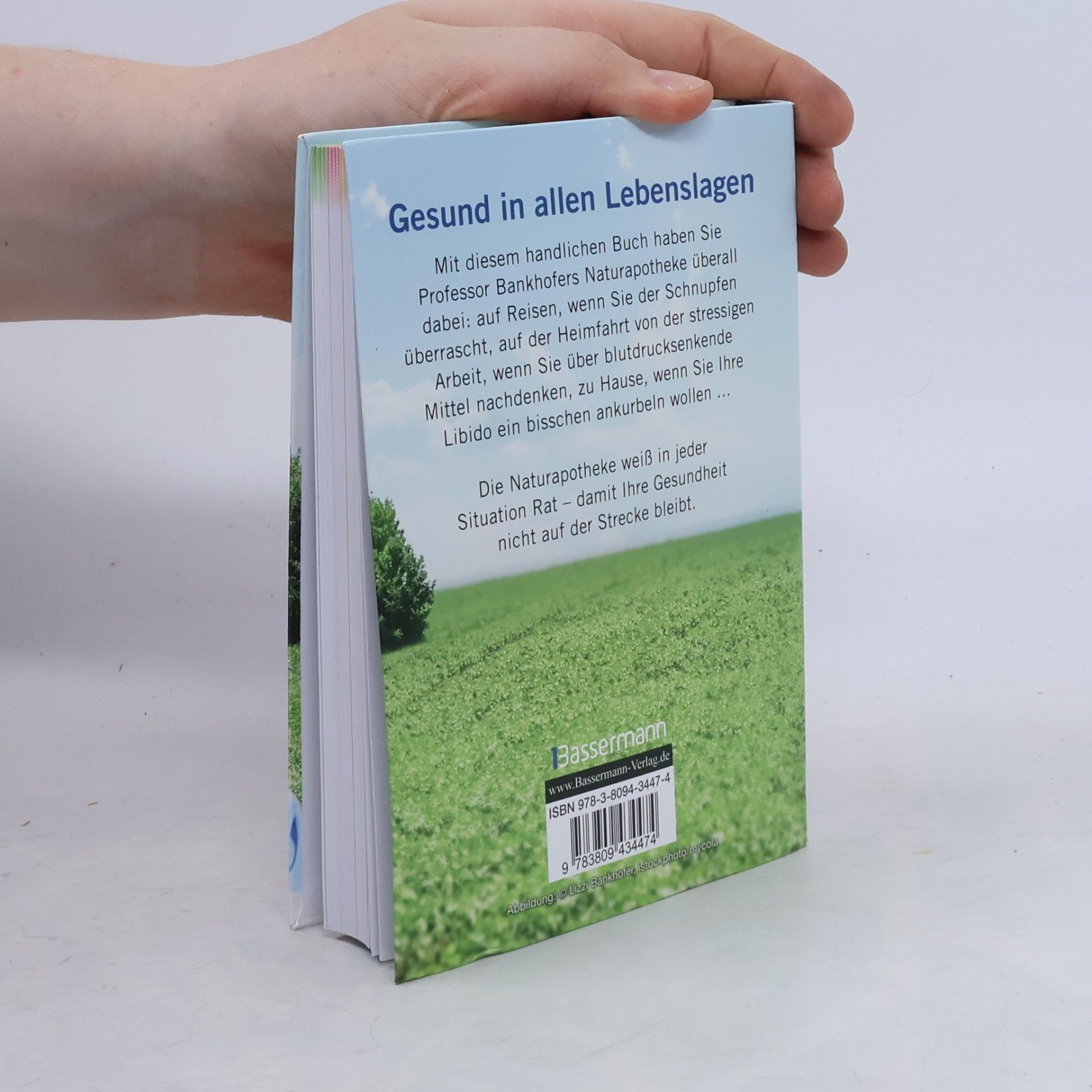 Autorenkollektiv Professor Bankhofers Naturapotheke