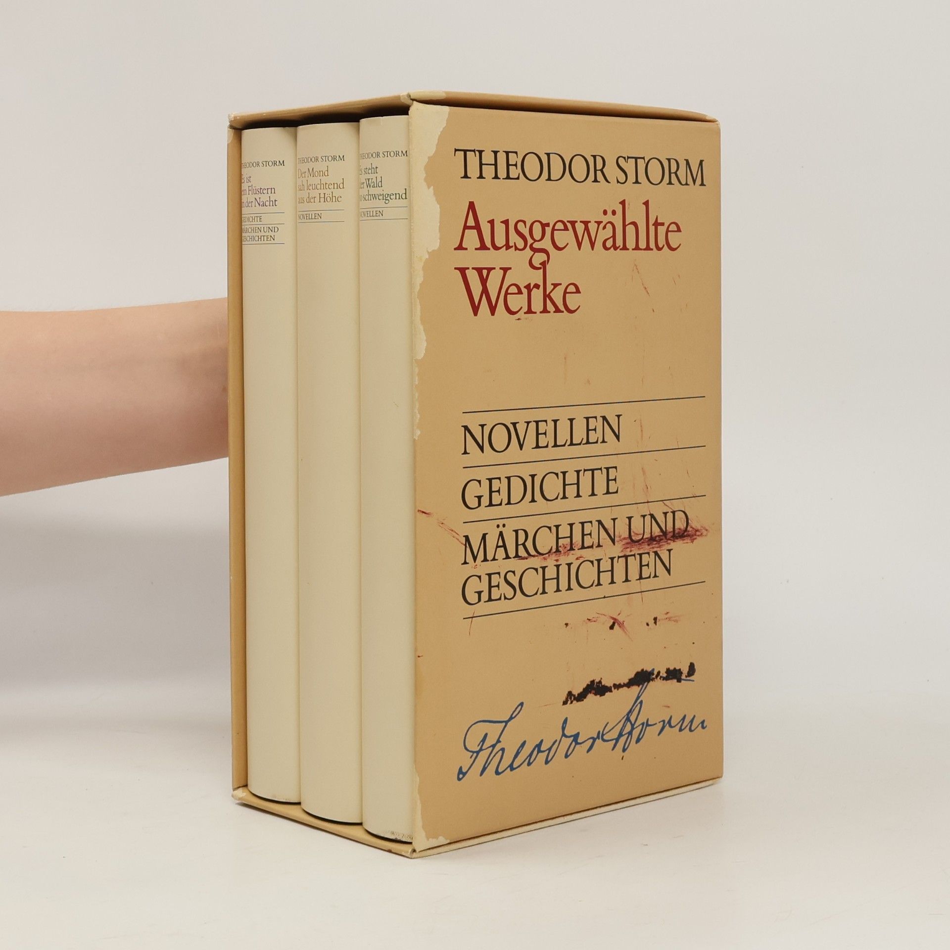 Theodor Storm Ausgewählte Werke