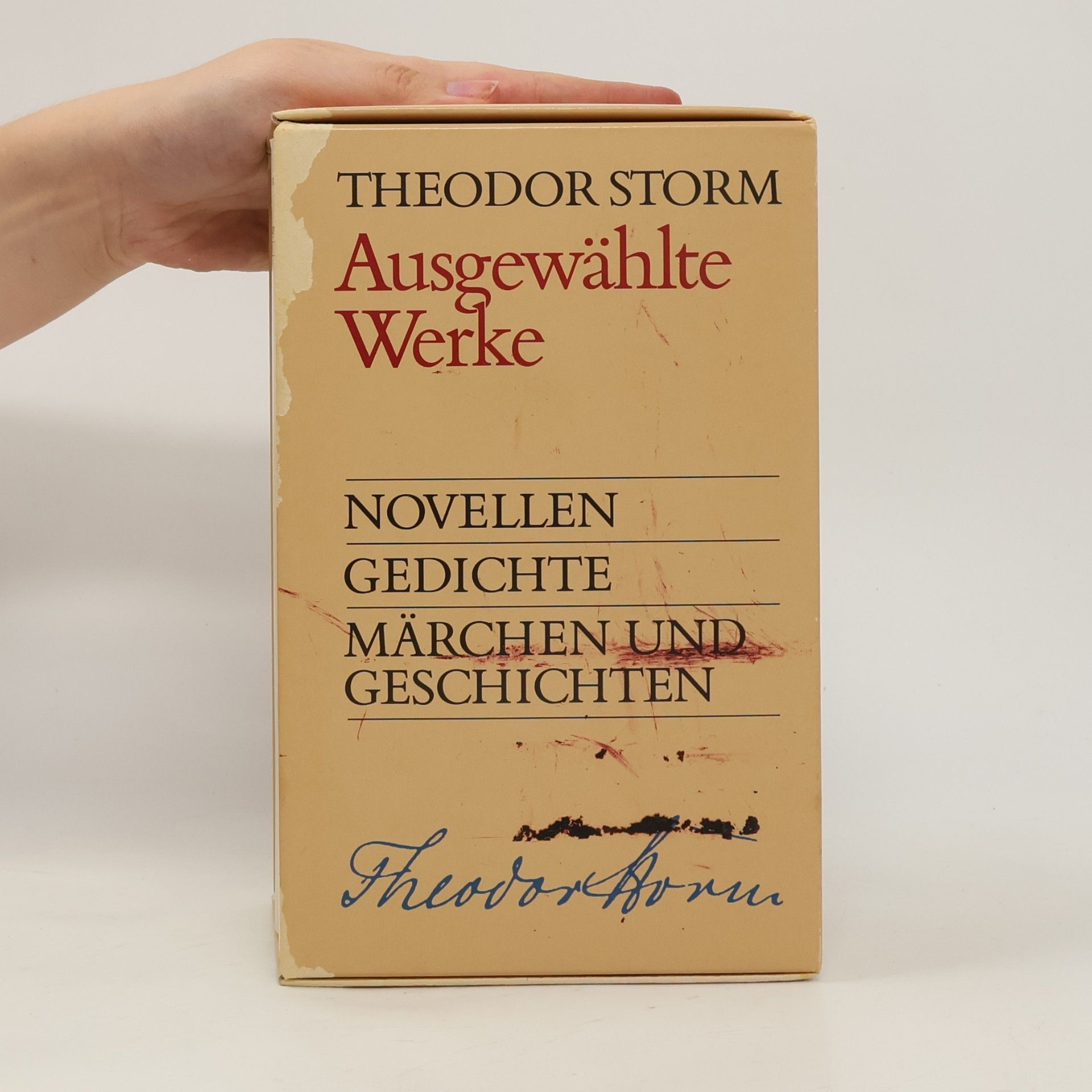 Theodor Storm Ausgewählte Werke