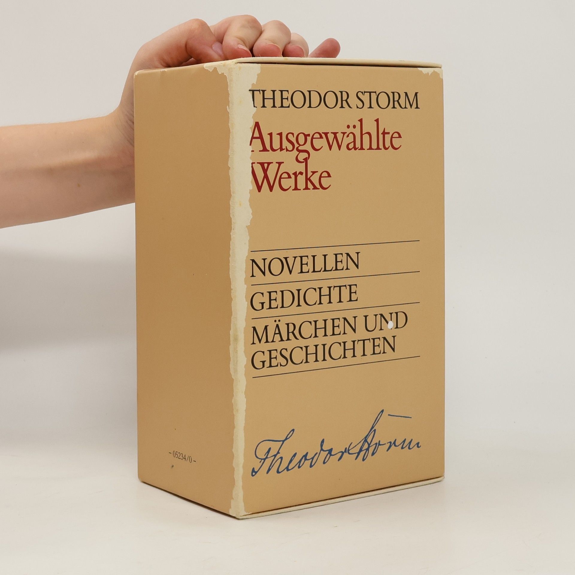 Theodor Storm Ausgewählte Werke