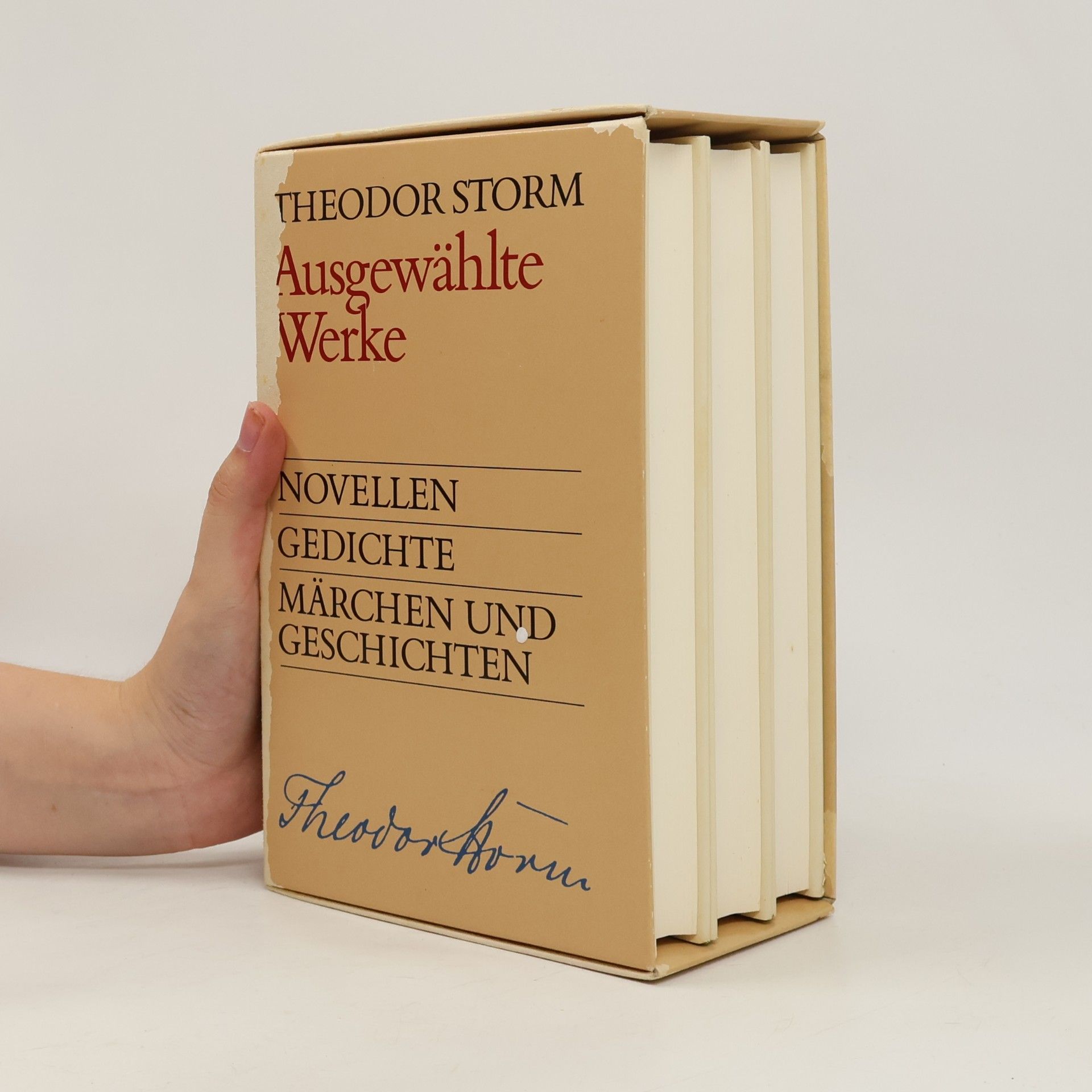 Theodor Storm Ausgewählte Werke
