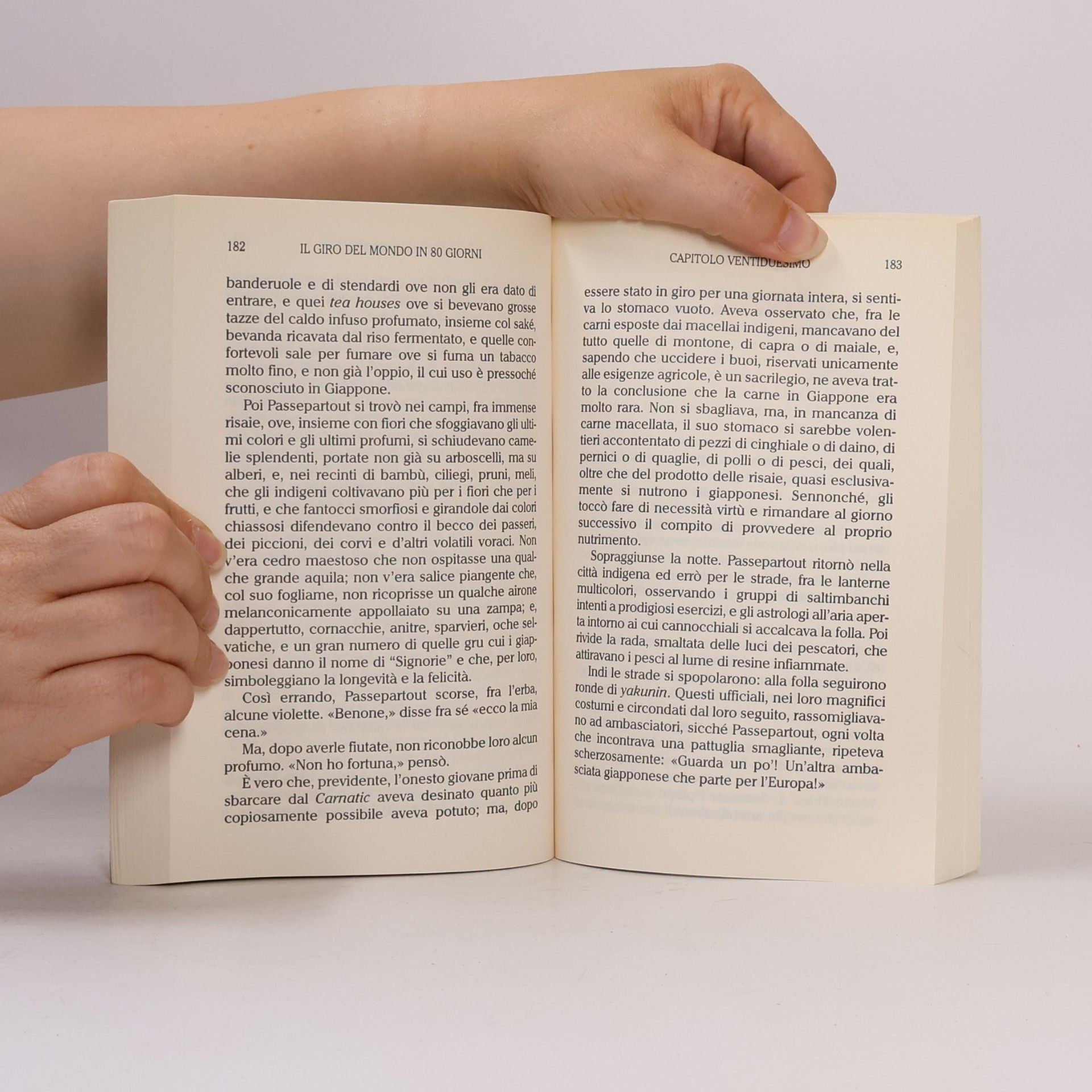 Jules Verne Il giro del mondo in 80 giorni