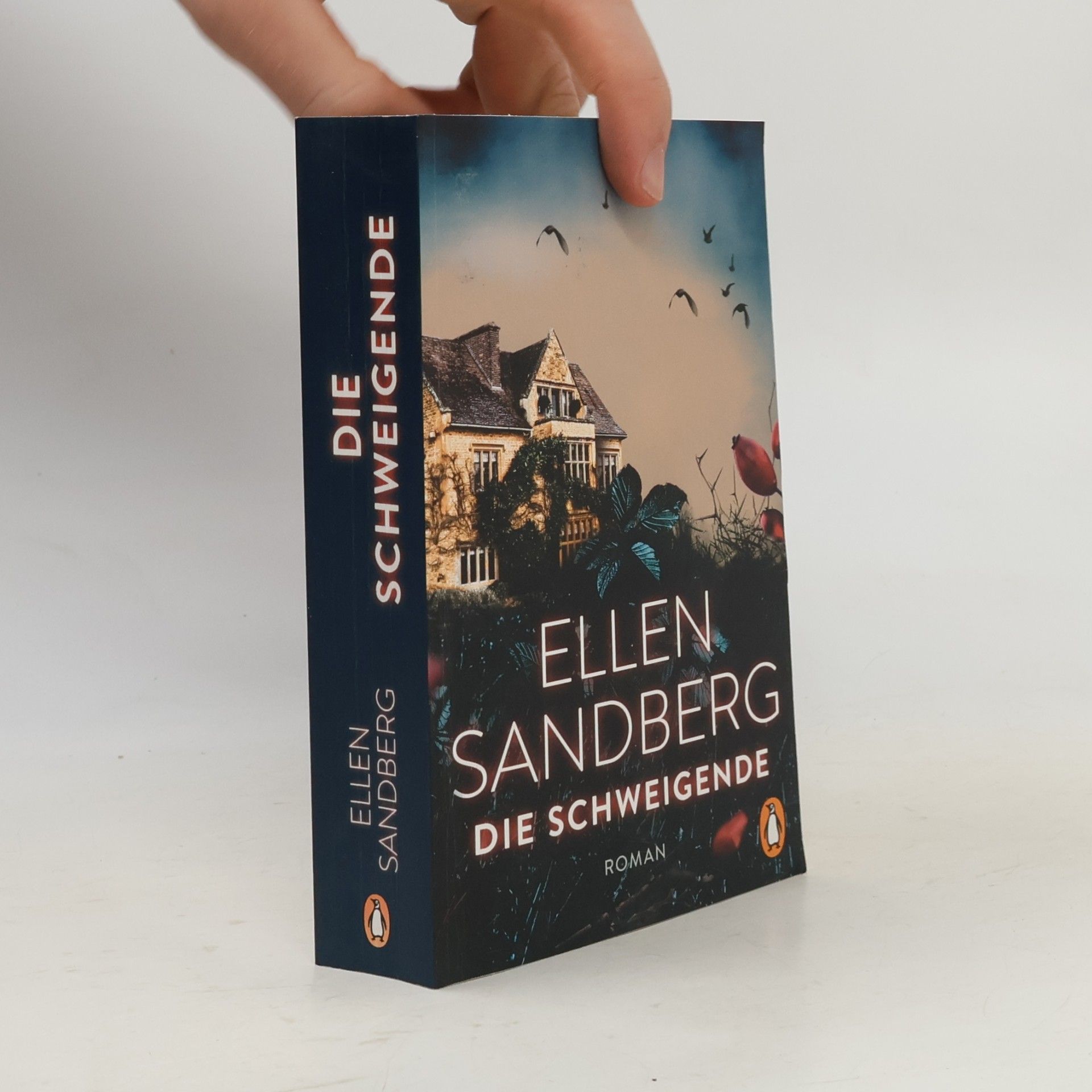 Ellen Sandberg Die Schweigende