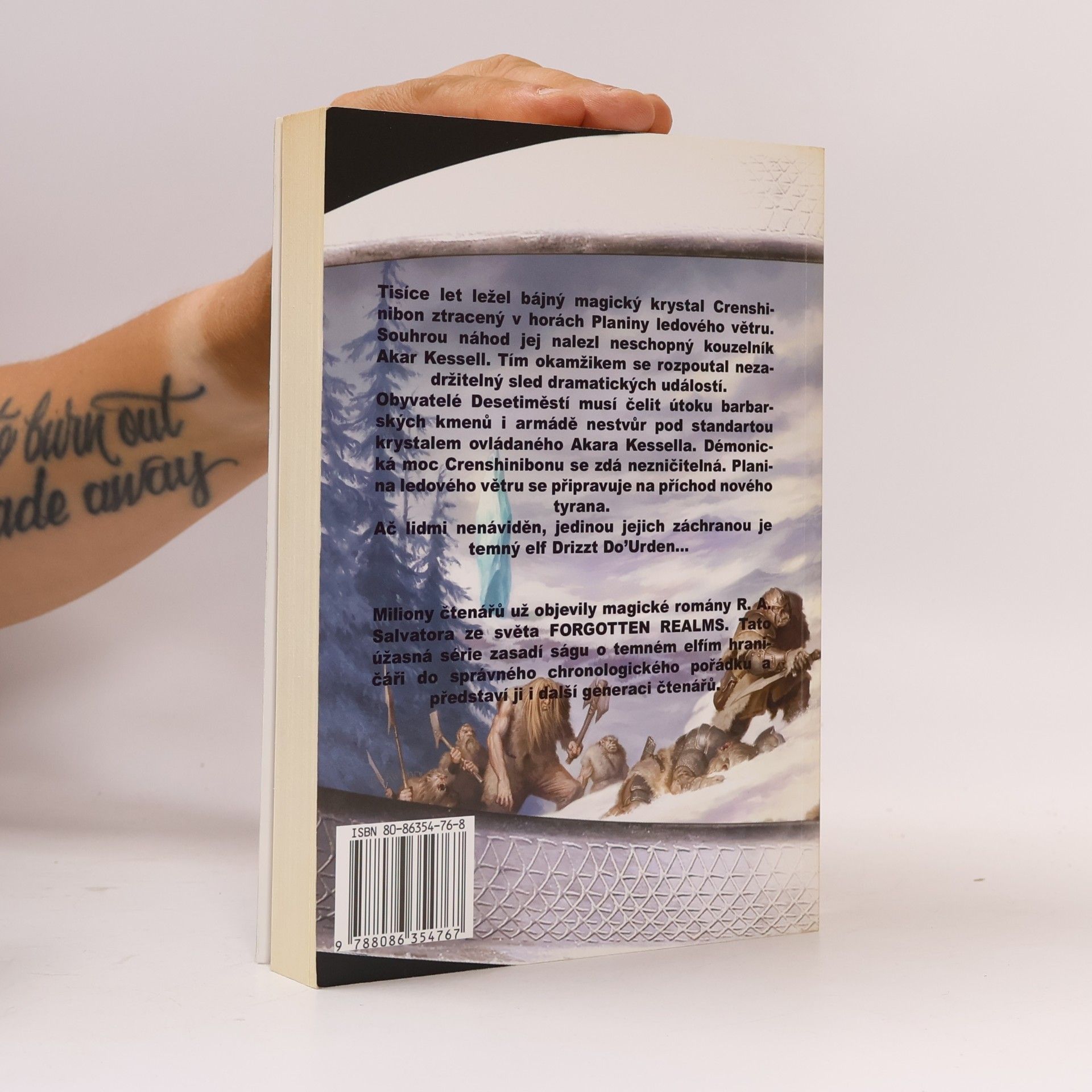 R. A. Salvatore Planina ledového větru I. Magický krystal