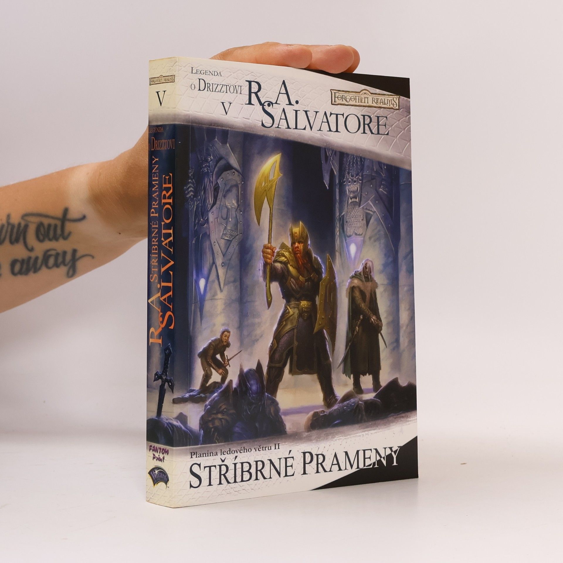 R. A. Salvatore Planina ledového větru. II, Stříbrné prameny
