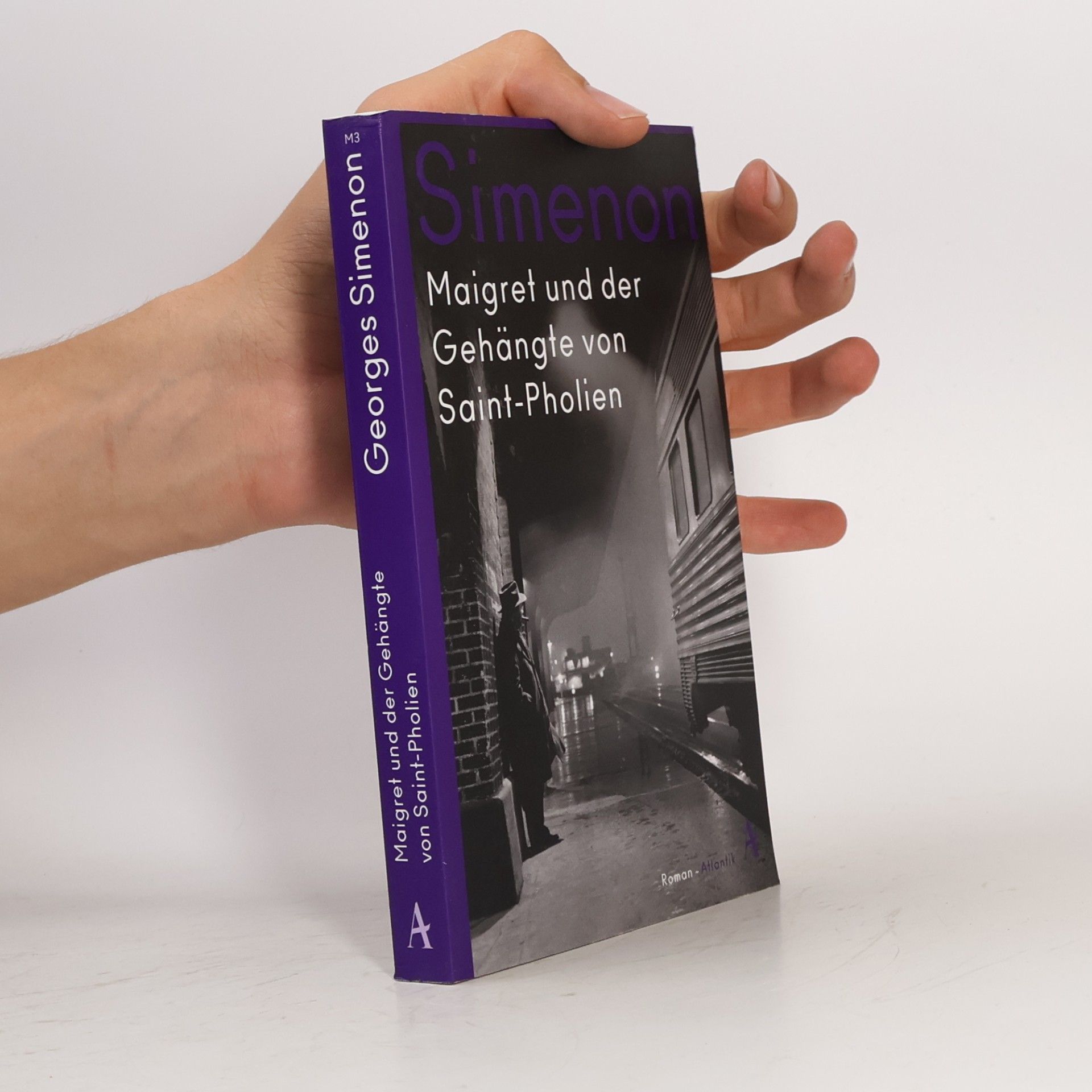 Georges Simenon Maigret und der Gehängte von Saint-Pholien