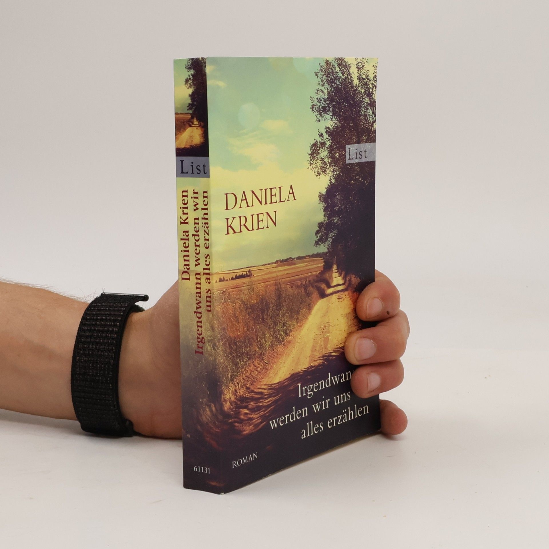 Daniela Krien Irgendwann werden wir uns alles erzählen