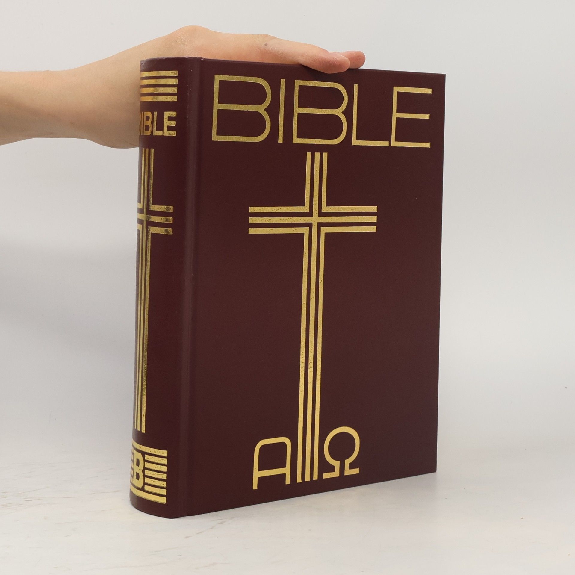 Kolektiv autorů Bible: Písmo svaté Starého a Nového zákona