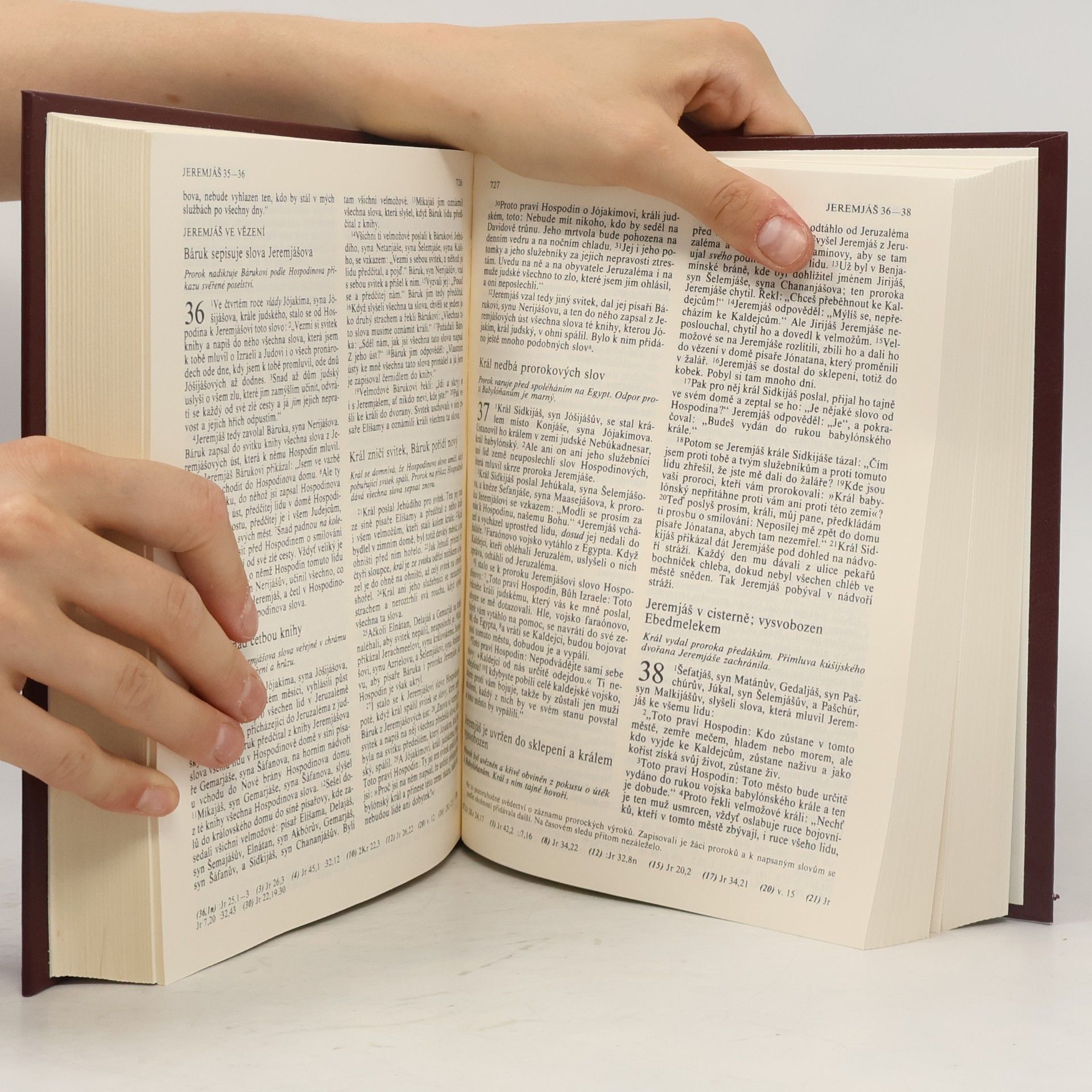 Autorenkollektiv Bible: Písmo svaté Starého a Nového zákona