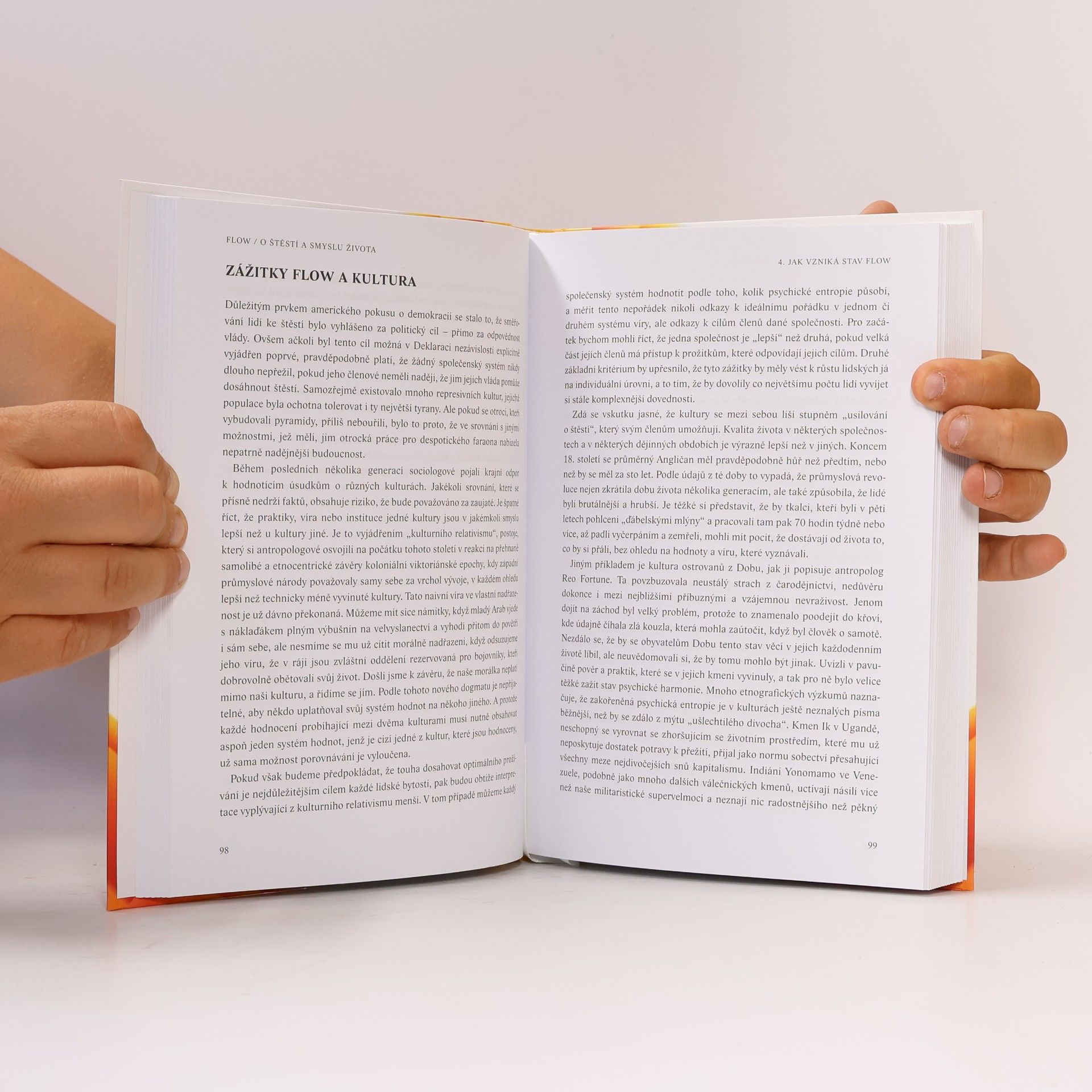 Mihaly Csikszentmihalyi Flow, o štěstí a smyslu života