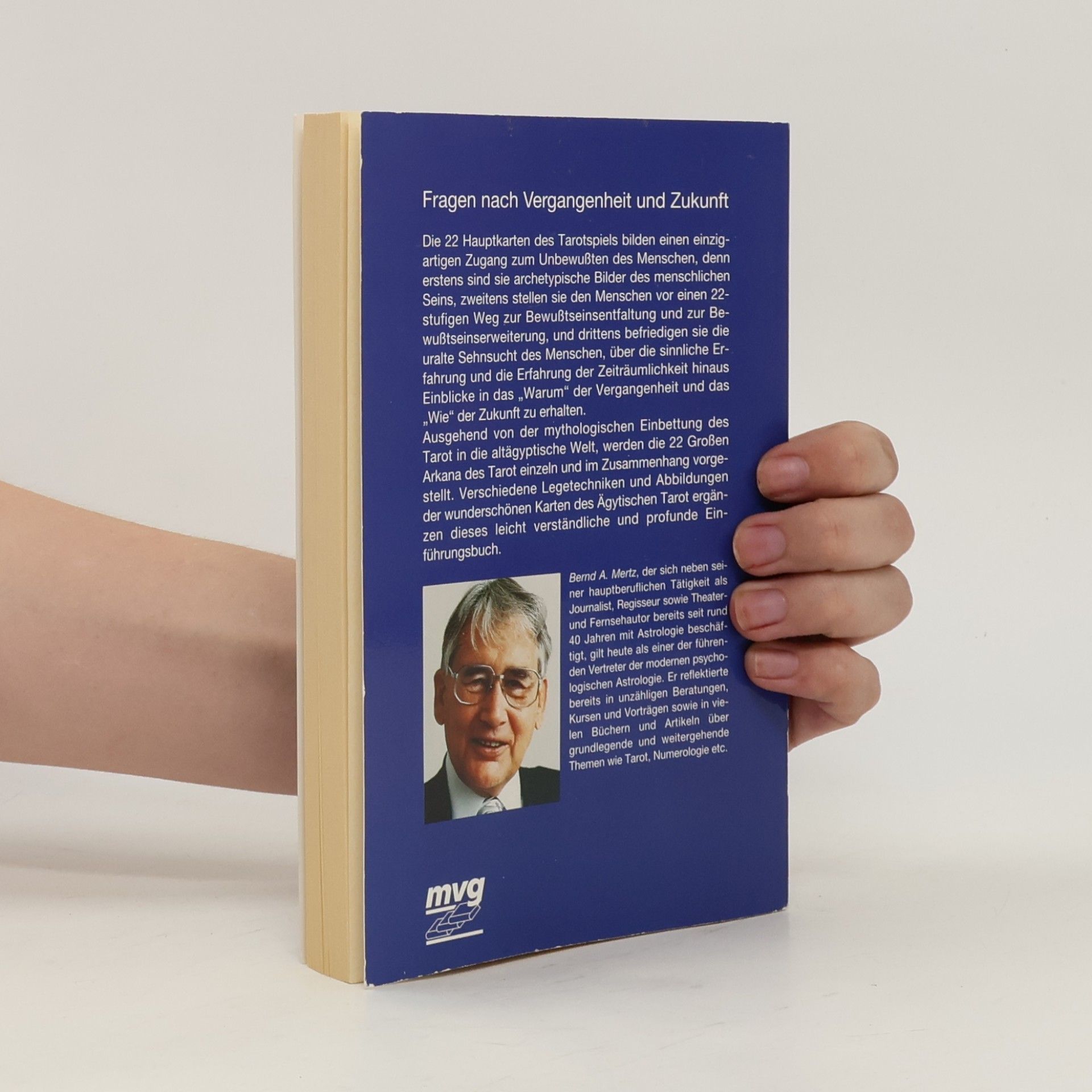 Bernd A. Mertz Der ägyptische Tarot