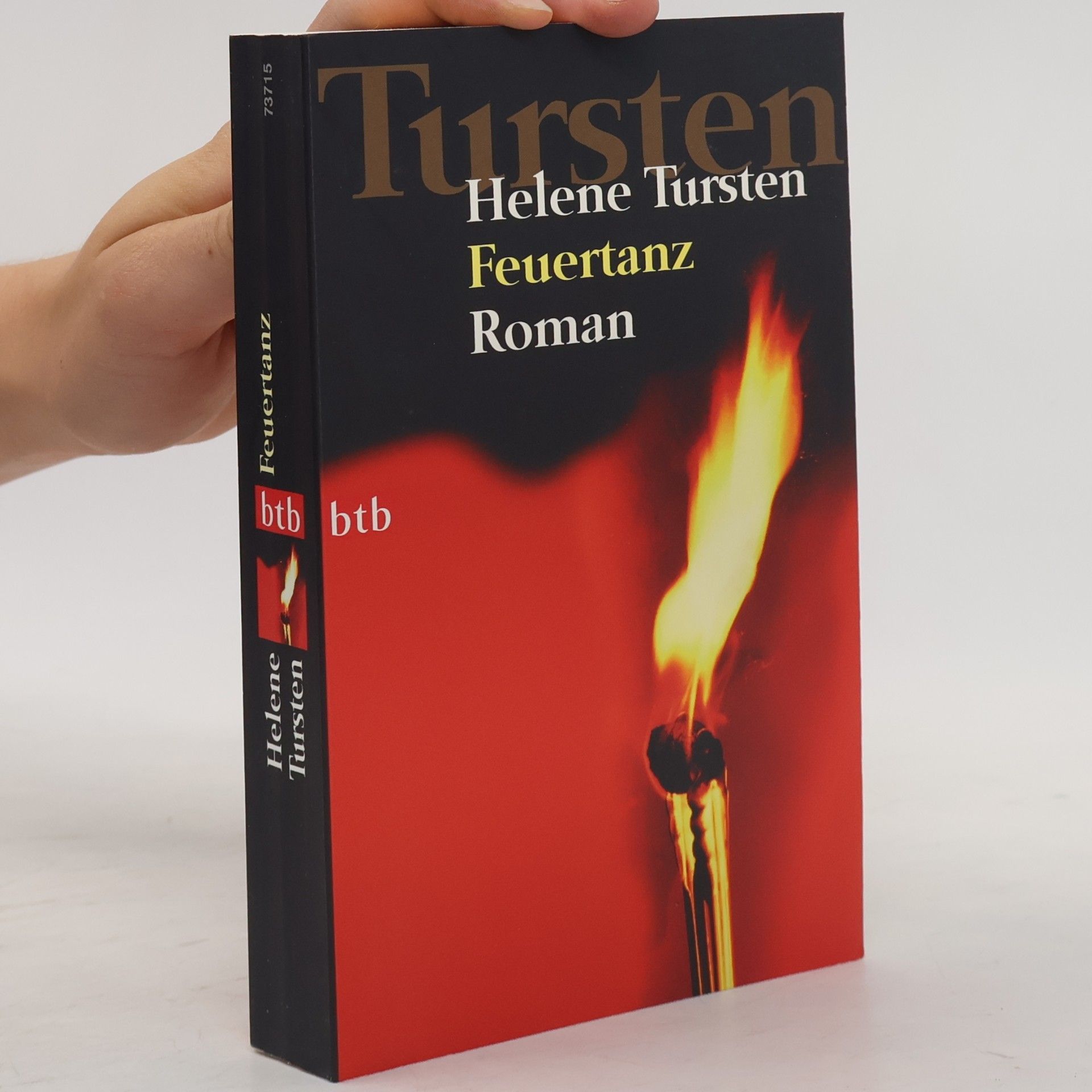 Helene Tursten Feuertanz