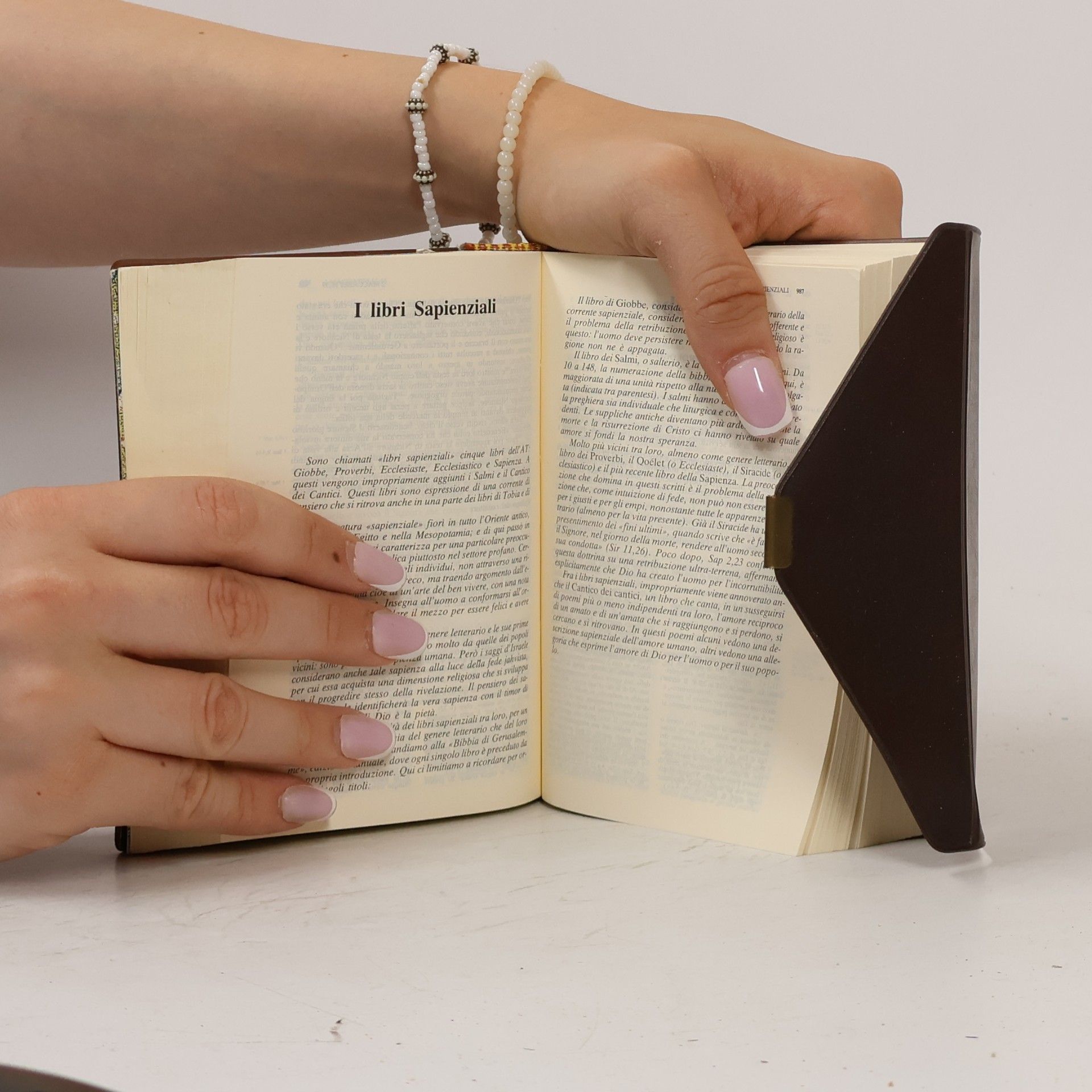 Autorenkollektiv La Bibbia di Gerusalemme