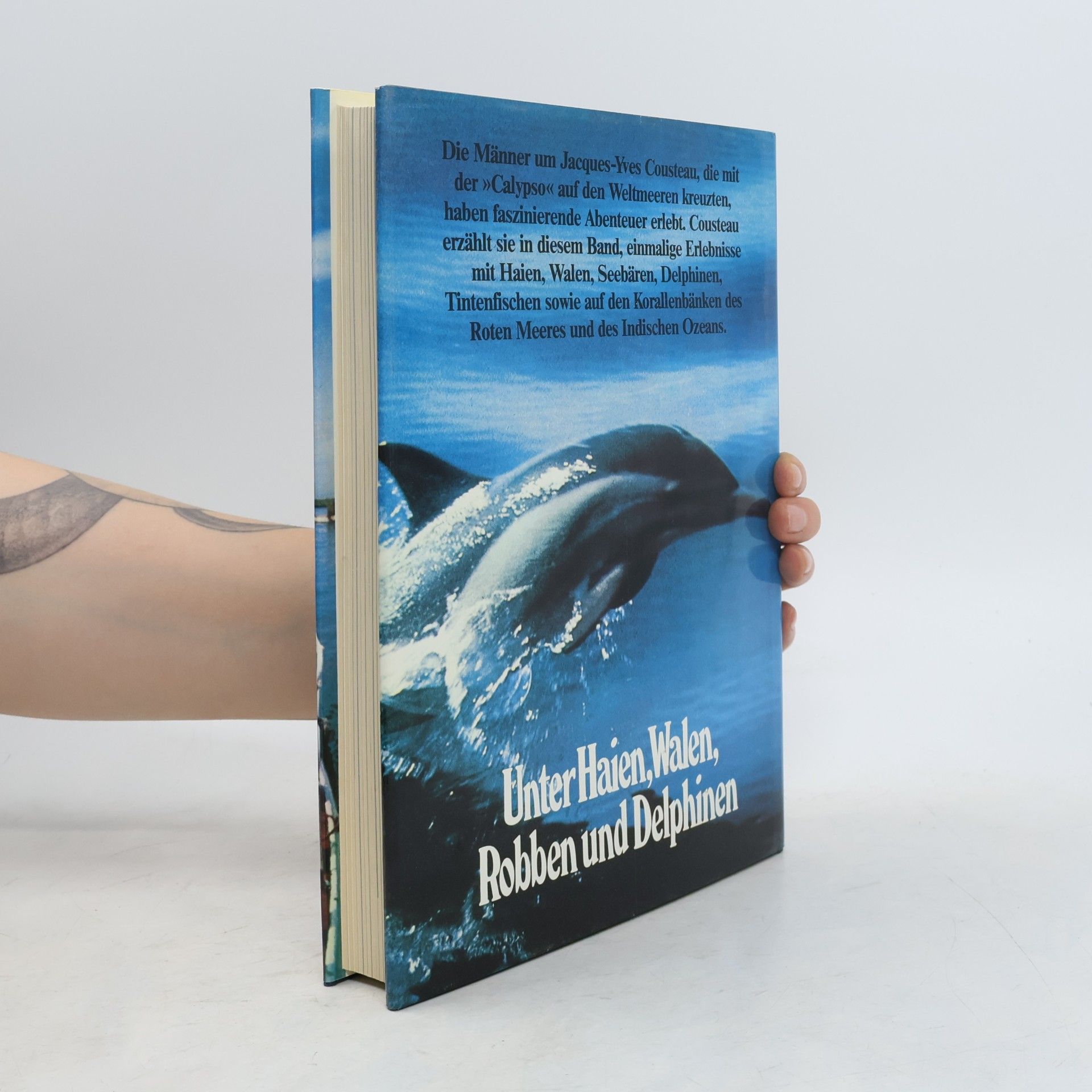 Cousteau Geheimnisse und Rätsel des Meeres