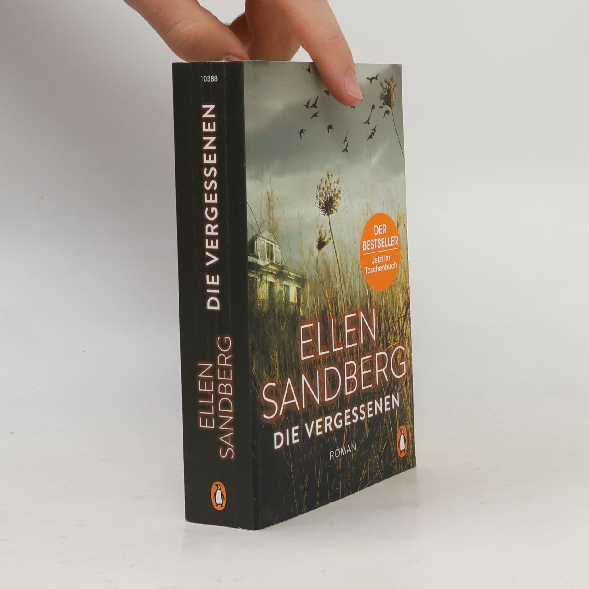 Ellen Sandberg Die Vergessenen