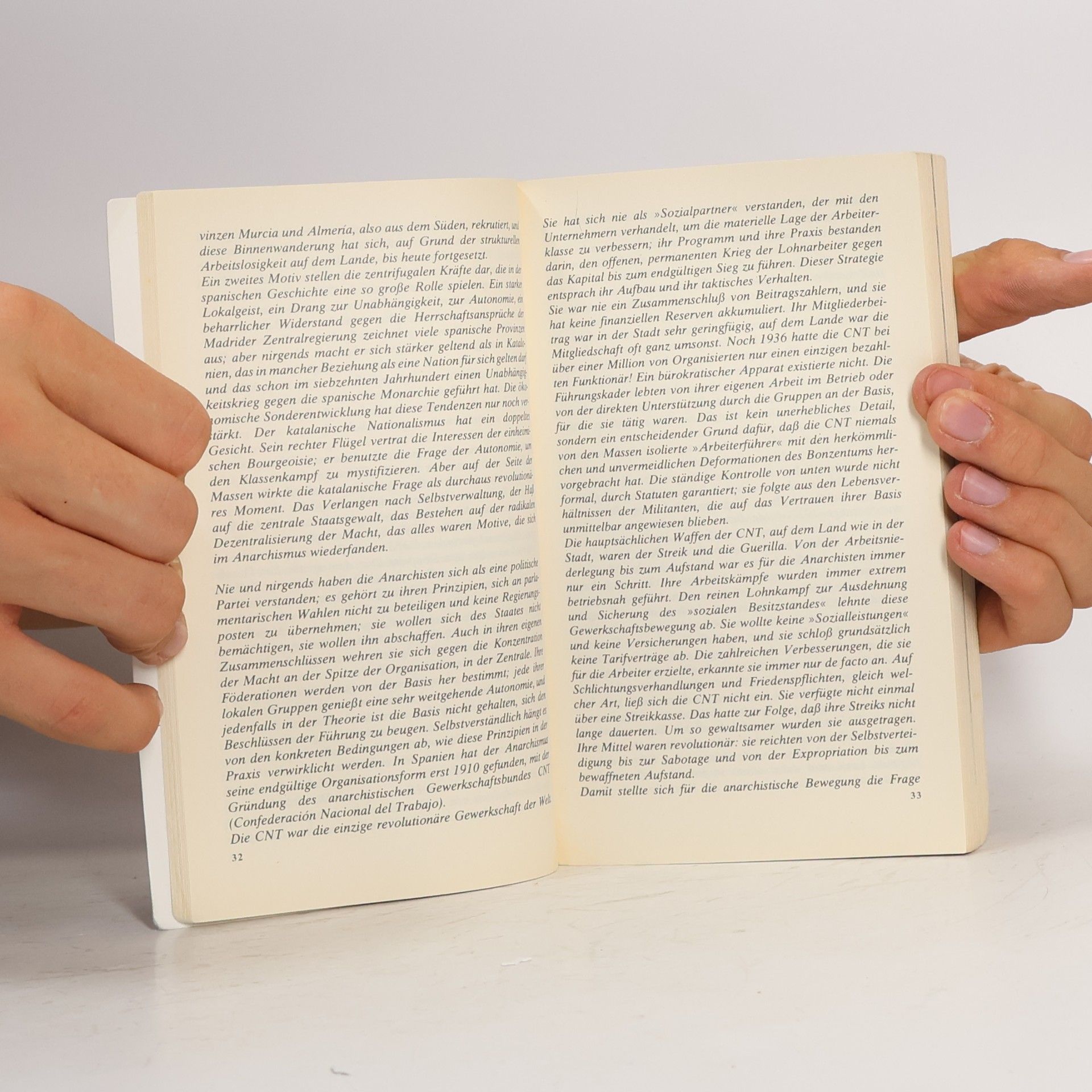Hans Magnus Enzensberger Der kurze Sommer der Anarchie