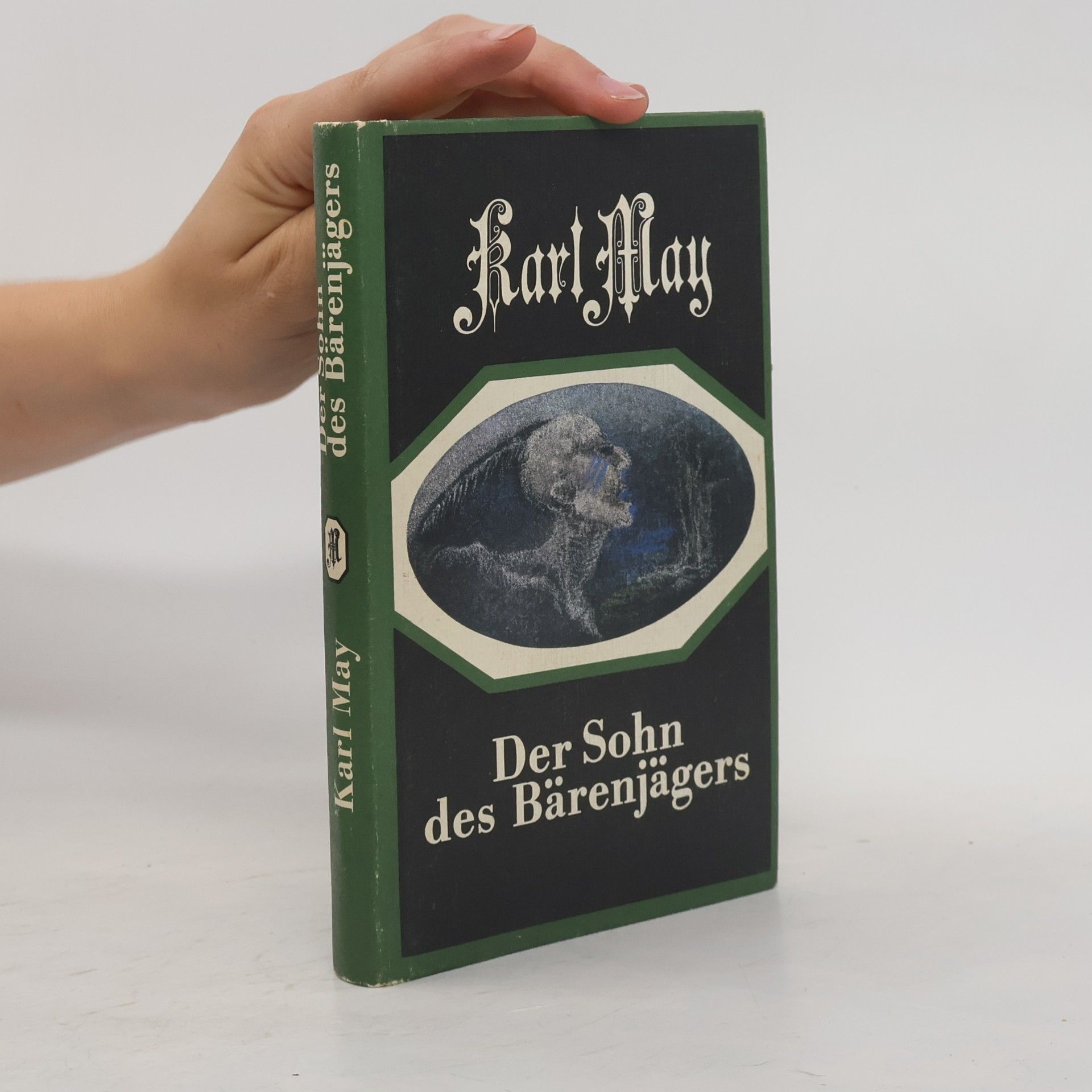 Karl May Der Sohn des Bärenjägers