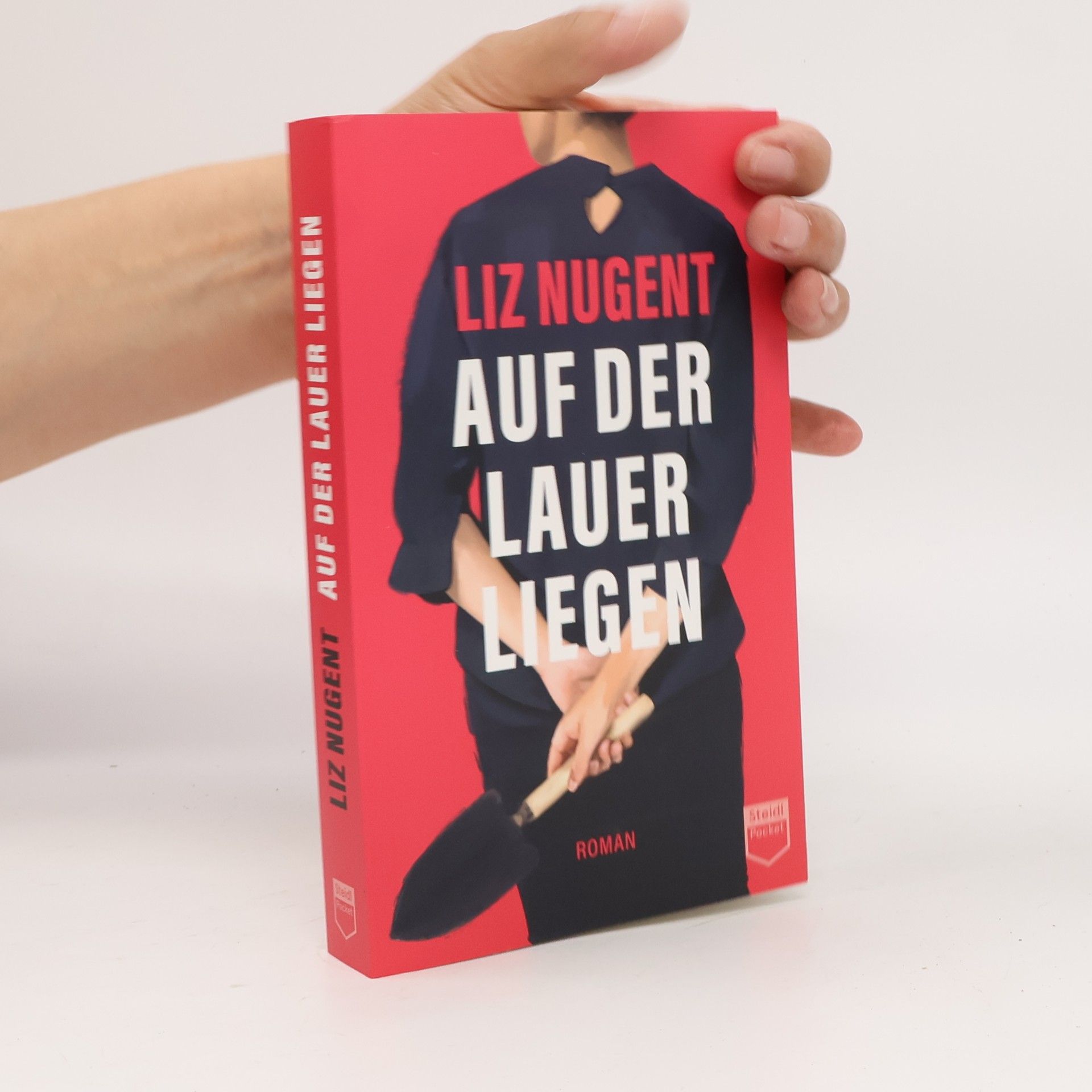 Liz Nugent Auf der Lauer liegen