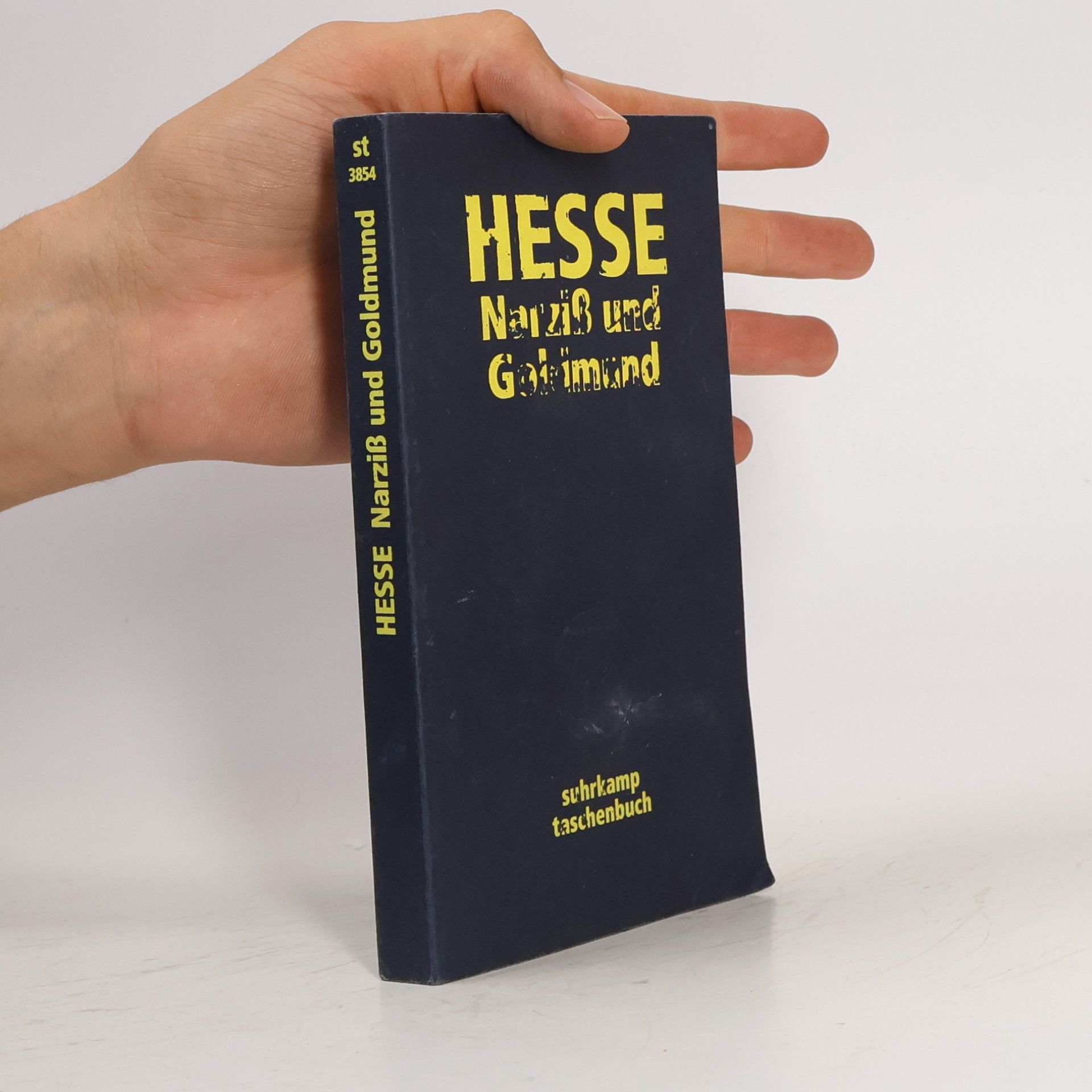 Hermann Hesse Narziss und Goldmund