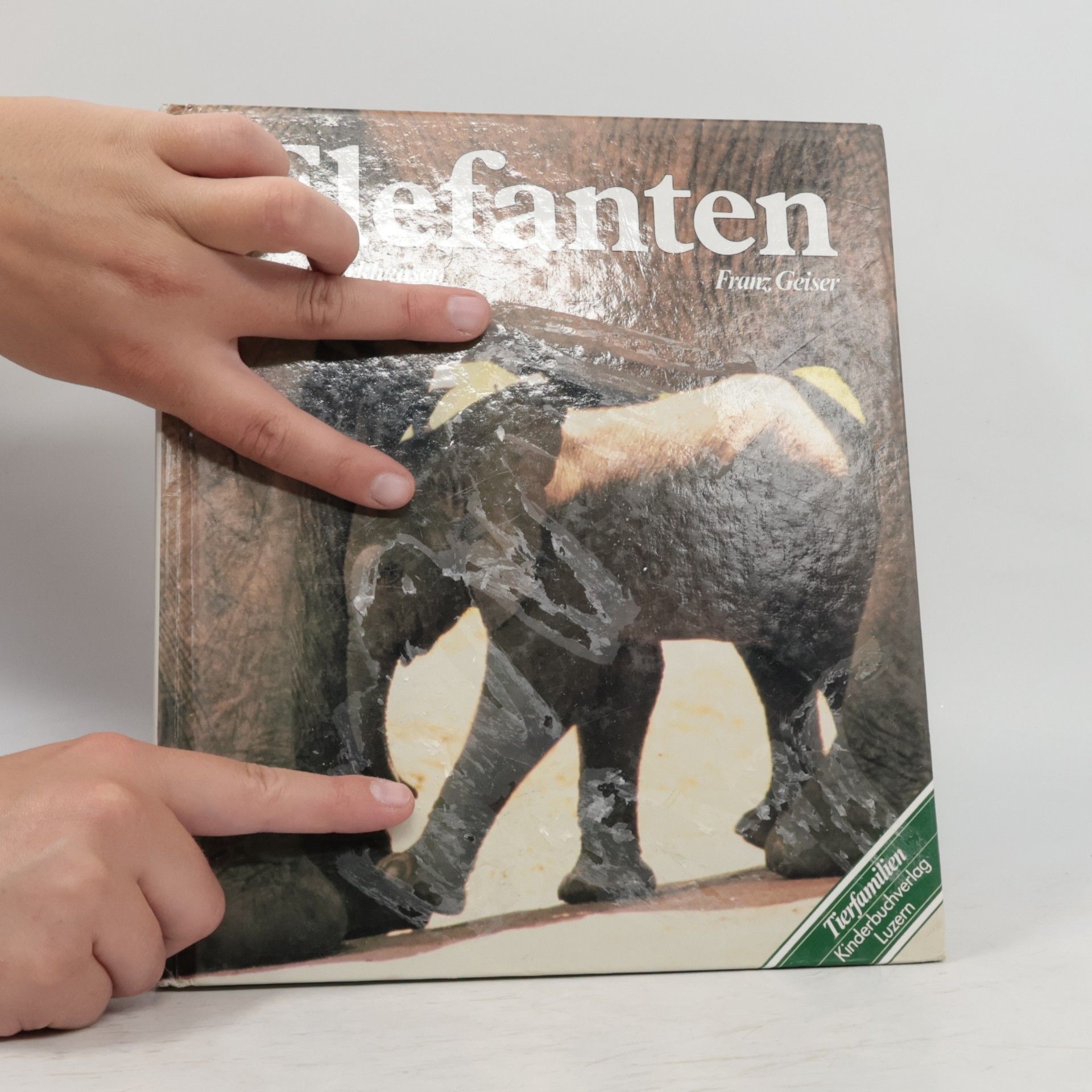 Annette Barkhausen Tierfamilien: Elefanten