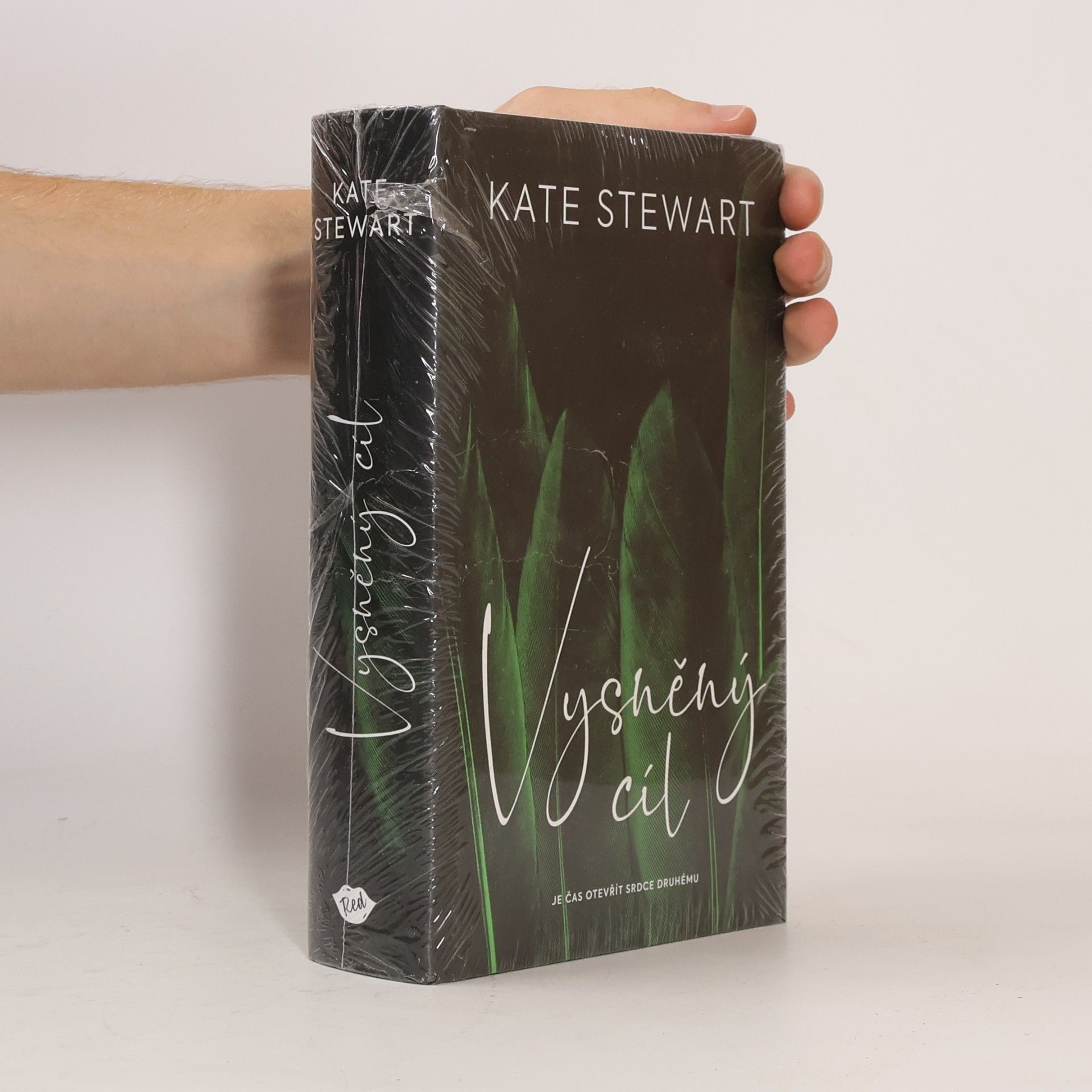 Kate Stewart Vysněný cíl. Kniha třetí