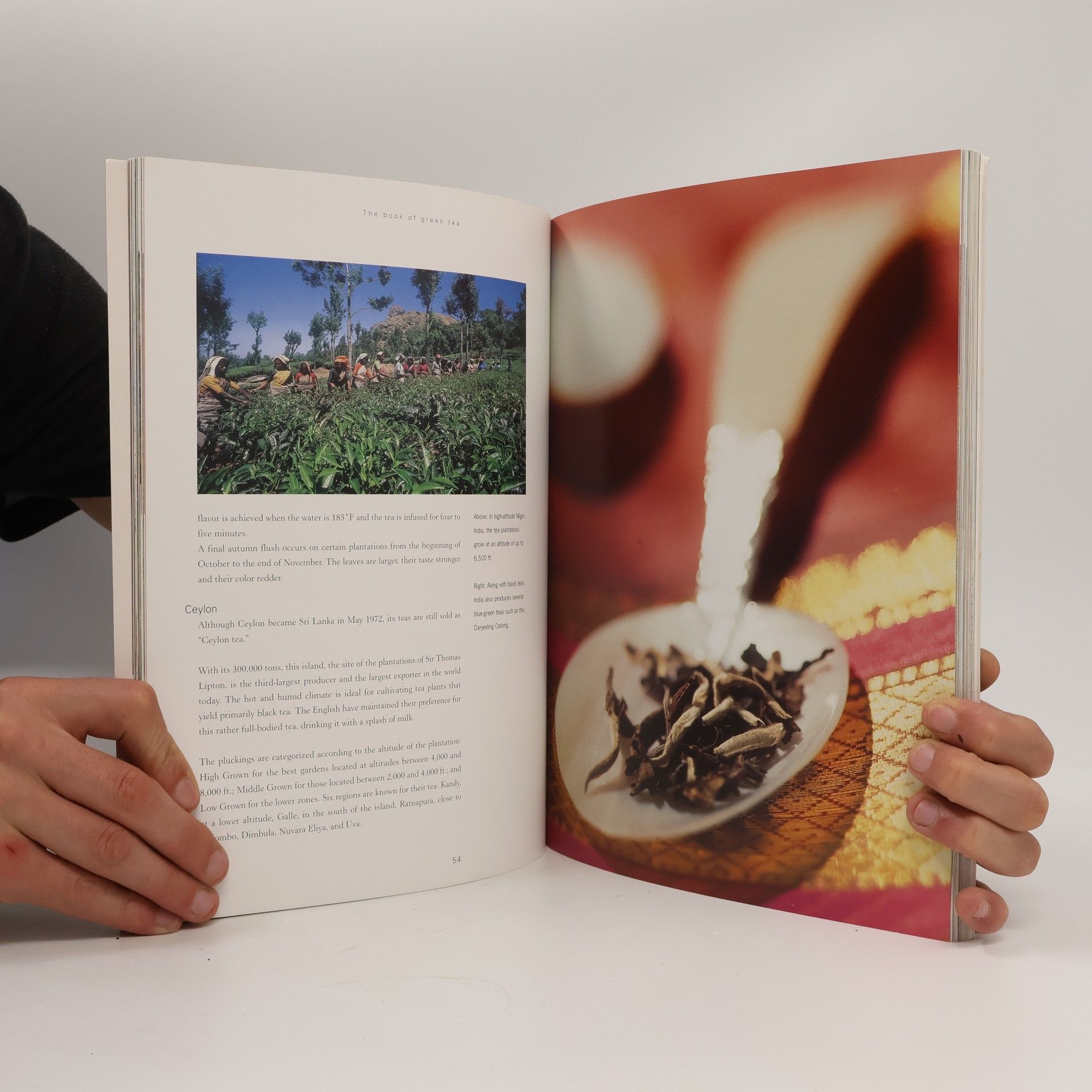 Christine Dattner The Book of Green Tea