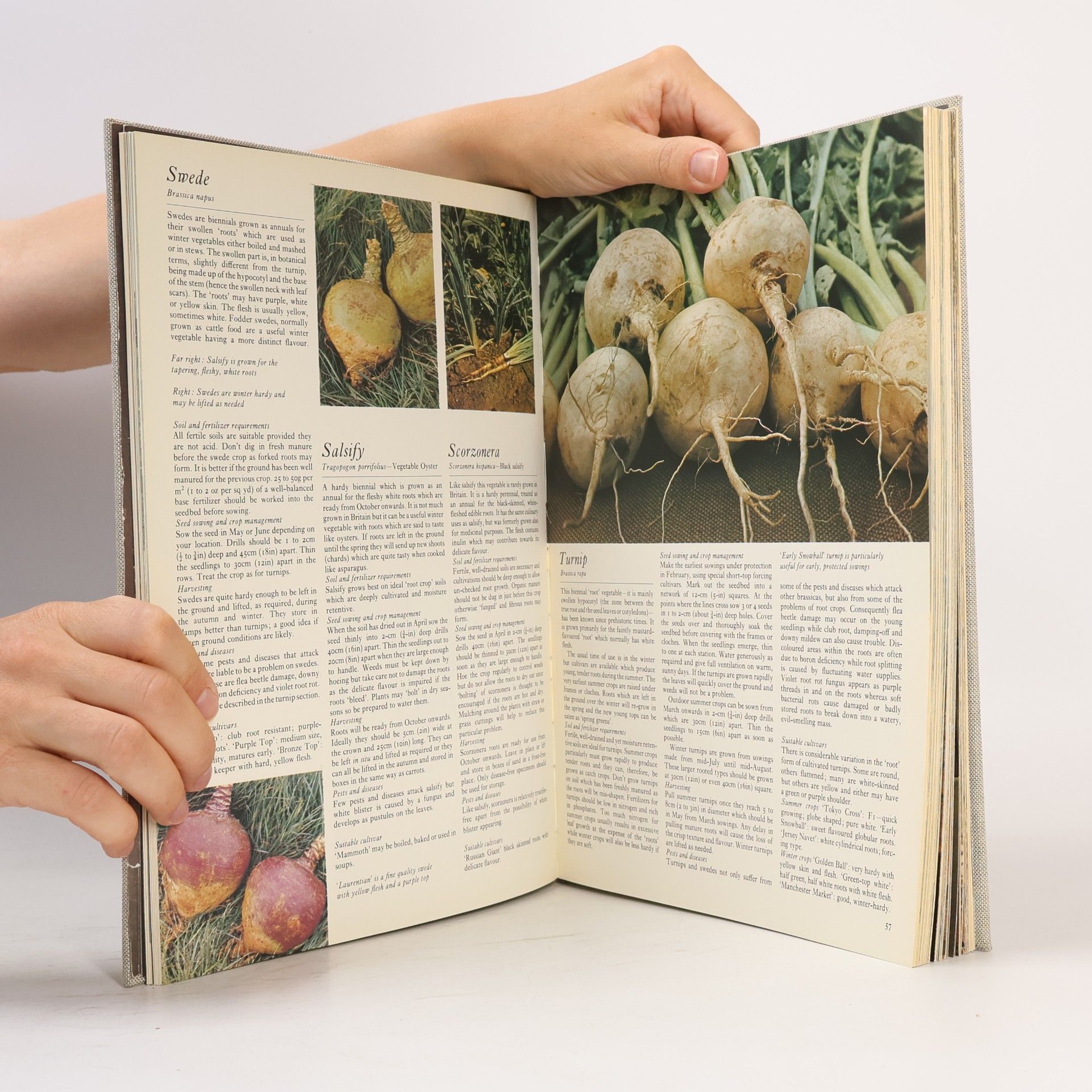 Tony Biggs Encyclopedia of Vegetable Gardening