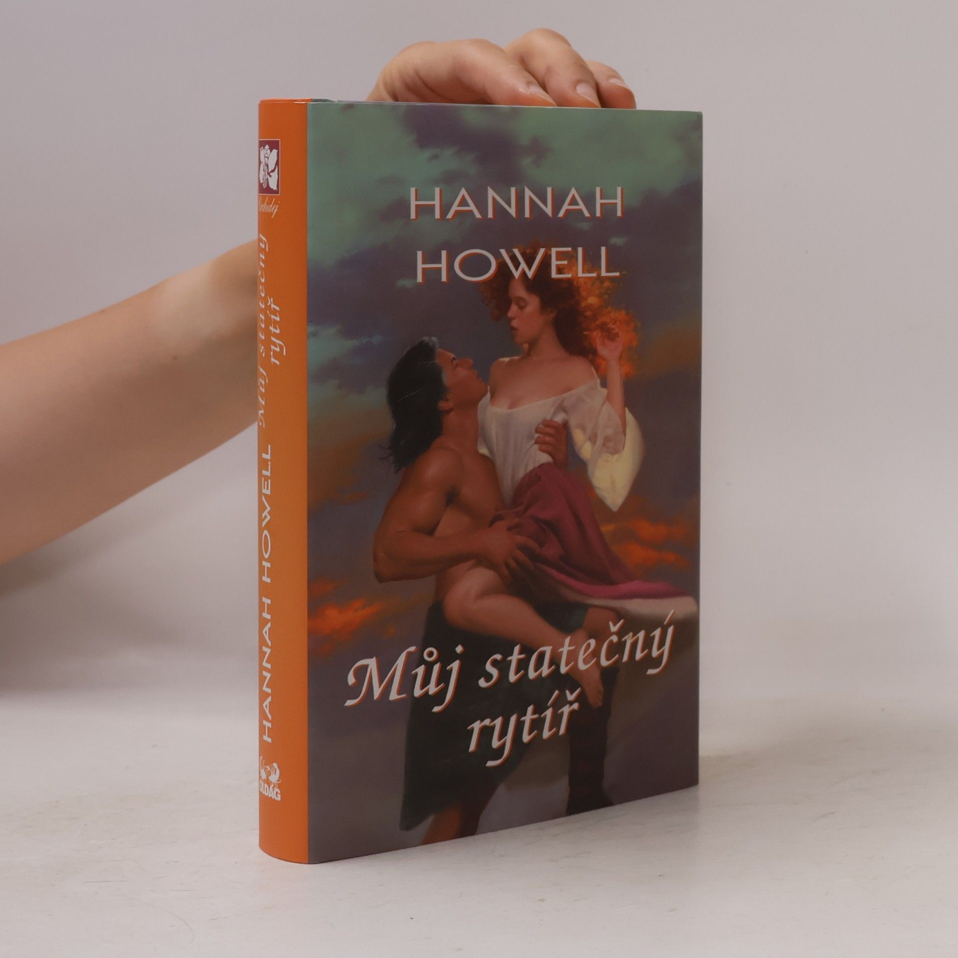 Hannah Howell Můj statečný rytíř