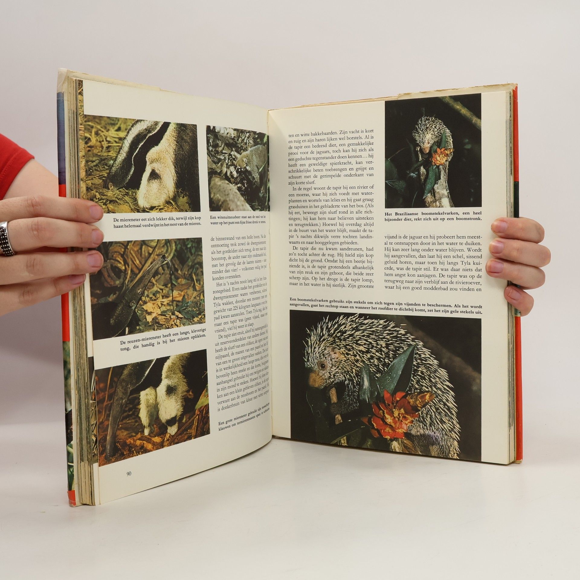 Autorenkollektiv Walt Disney's Wonderen der Wildernis