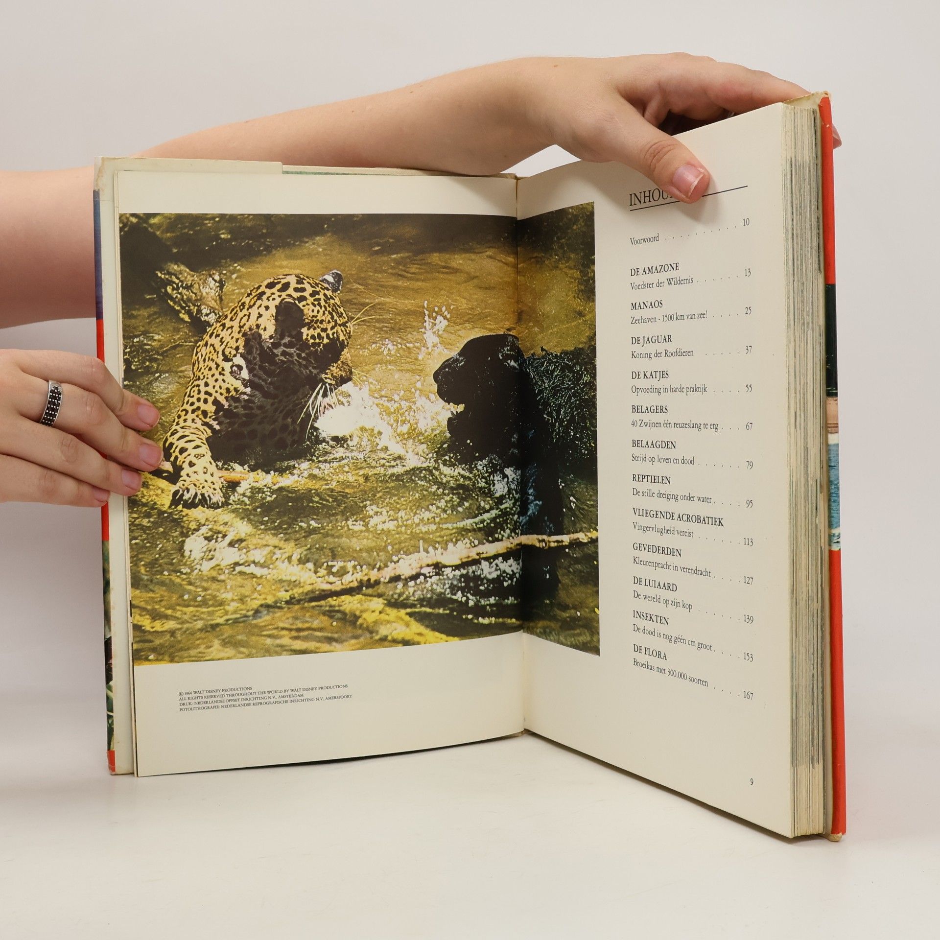 Autorenkollektiv Walt Disney's Wonderen der Wildernis