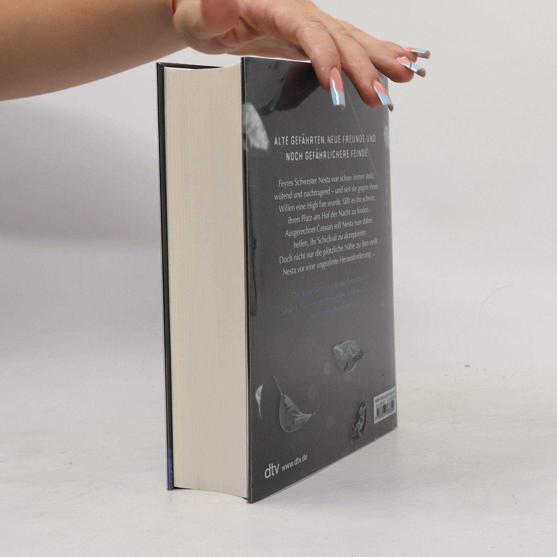 Sarah J. Maas Das Reich der sieben Höfe - silbernes Feuer