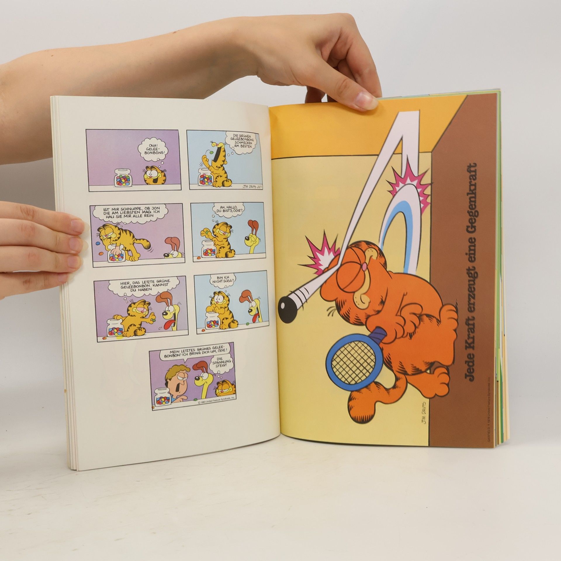 Jim Davis Die Garfield-Galerie 1. Katzen-Comics