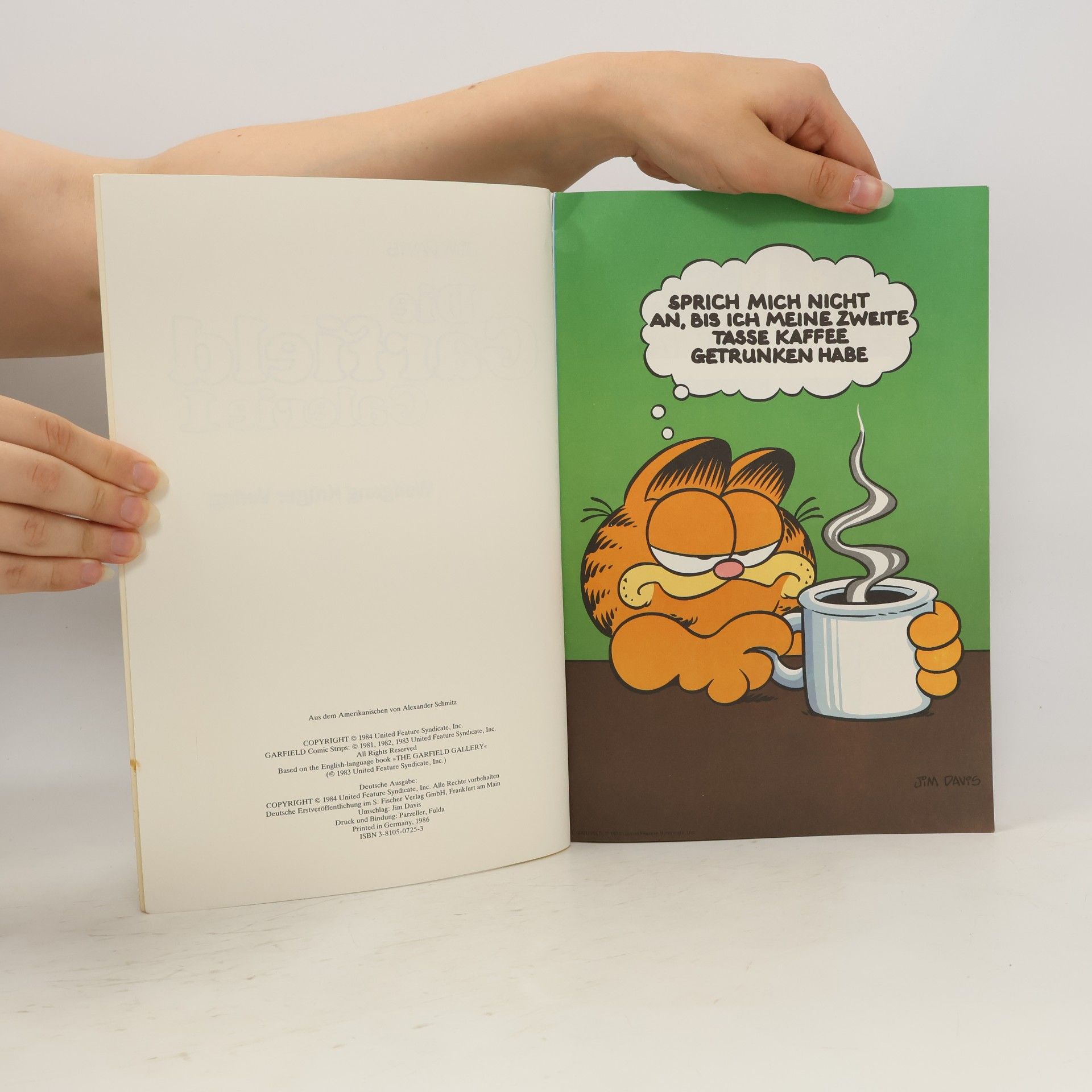 Jim Davis Die Garfield-Galerie 1. Katzen-Comics