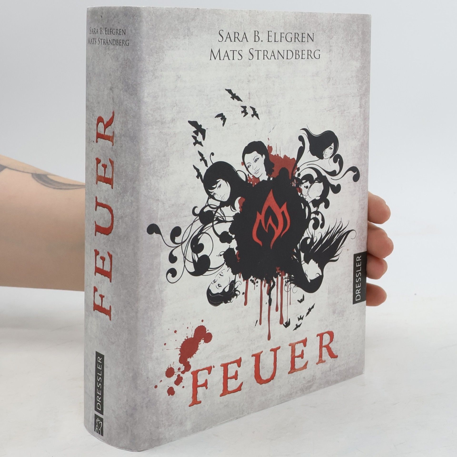Mats Strandberg Feuer. Engelsfors- Trilogie 2