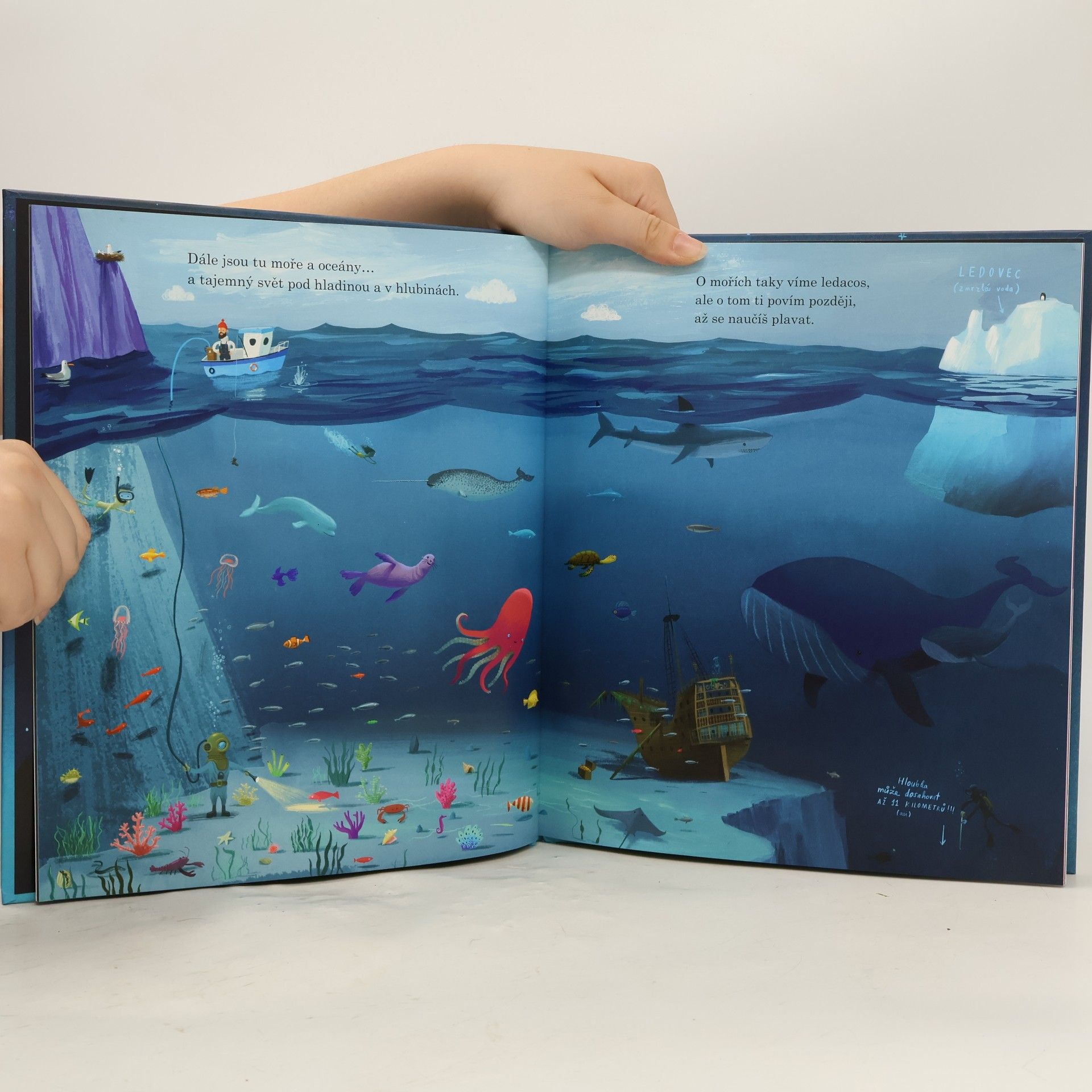 Oliver Jeffers Tady jsme doma