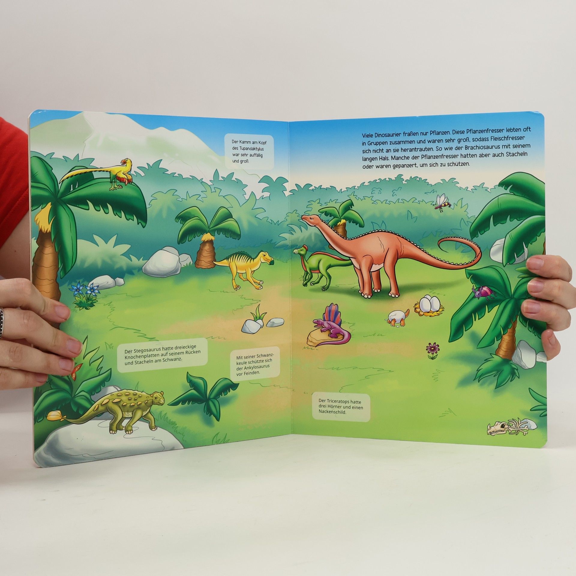 Autorenkollektiv Dinosaurier Magnet-Spiel-Buch
